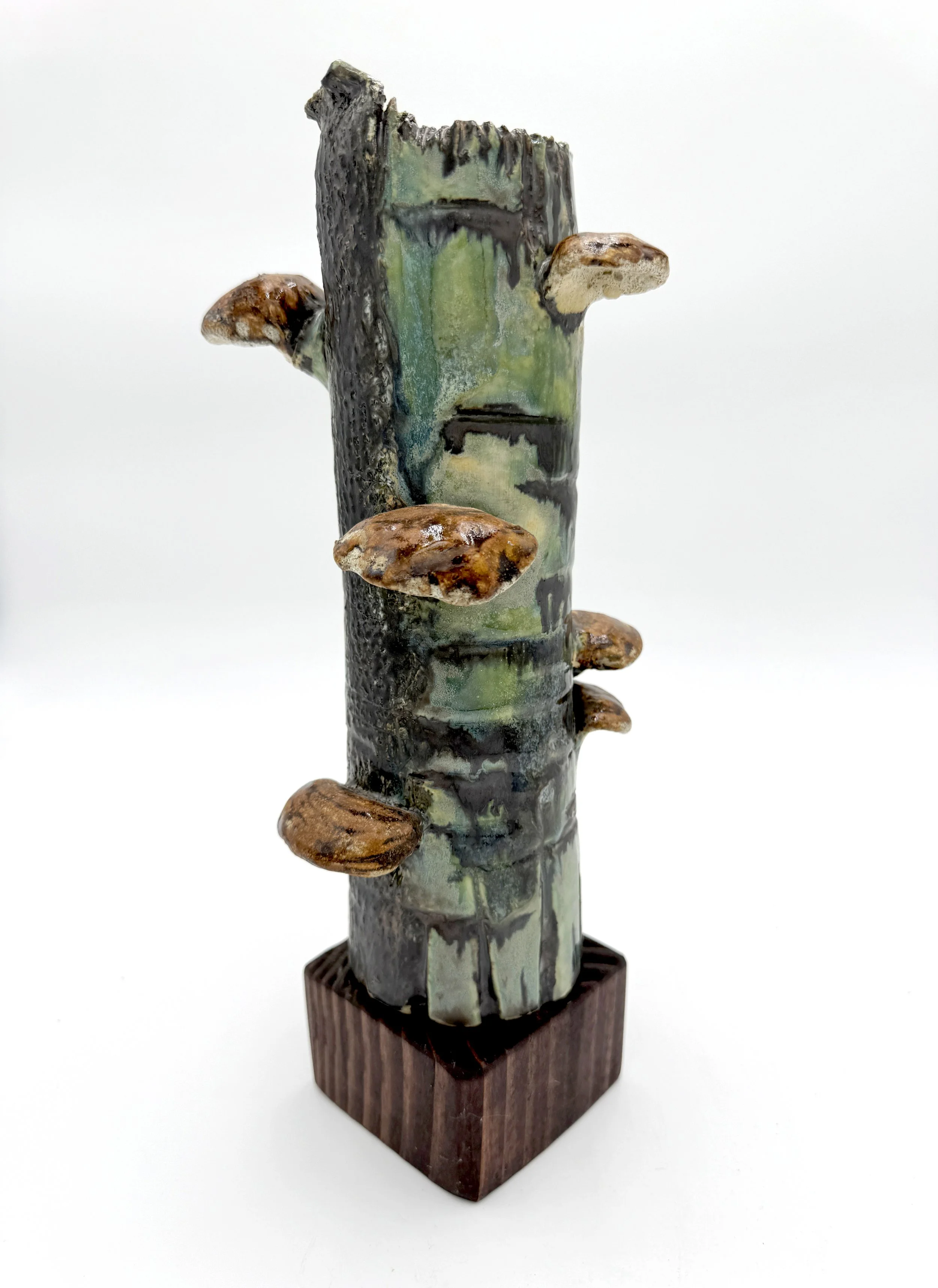 Photo Nov 27 2025, 2 04 49 PM (1).jpg