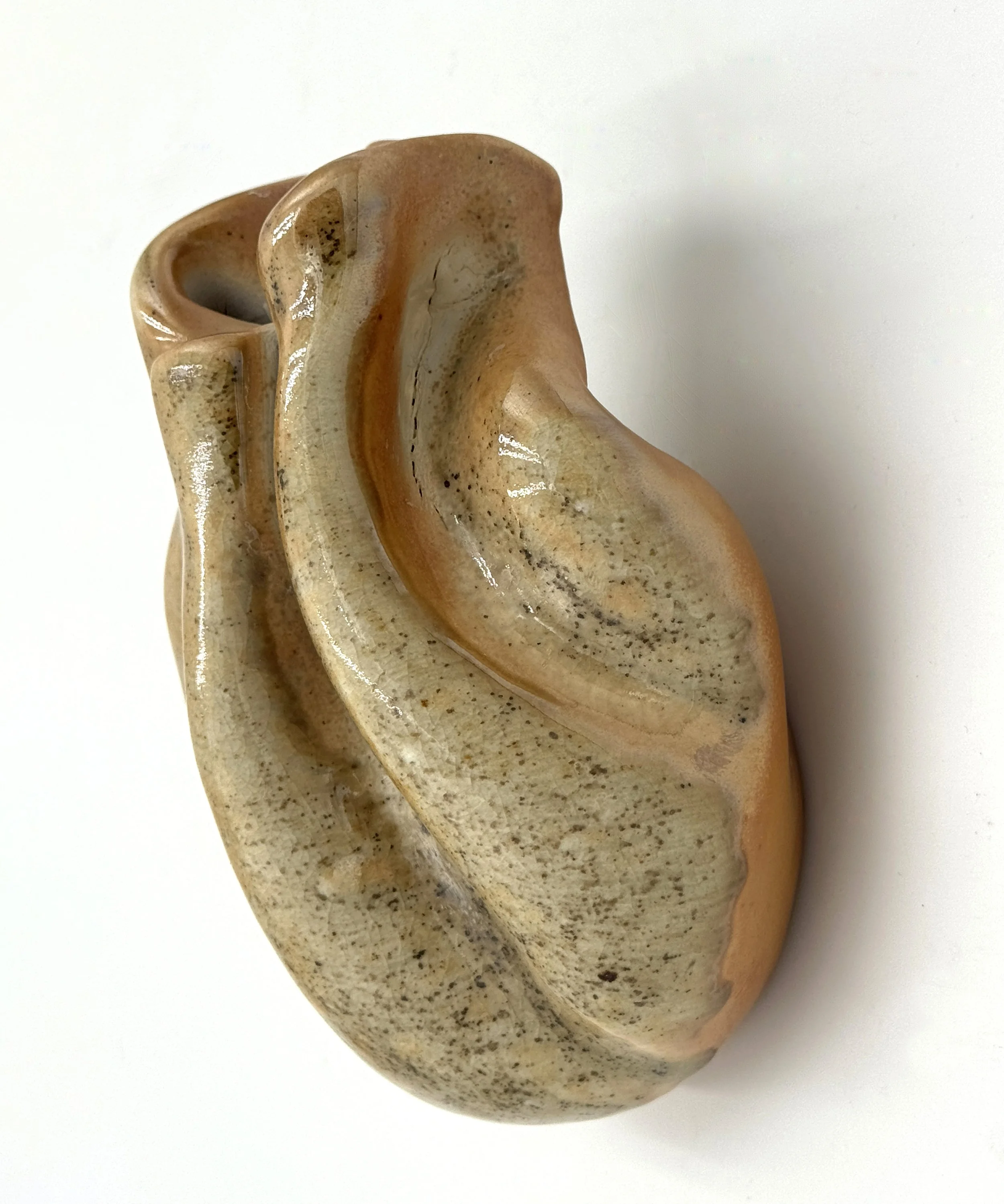 Photo Dec 01 2025, 5 09 49 PM.jpg