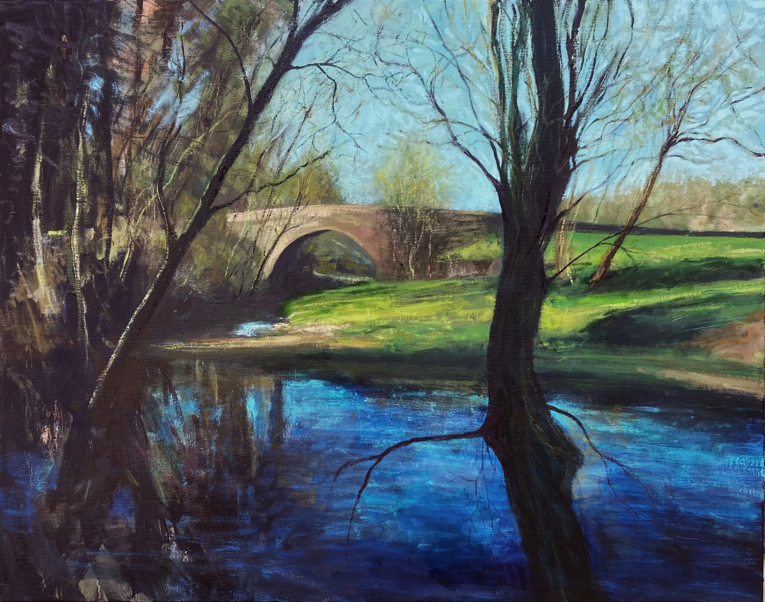 Danebridge_Spring-trees.jpg