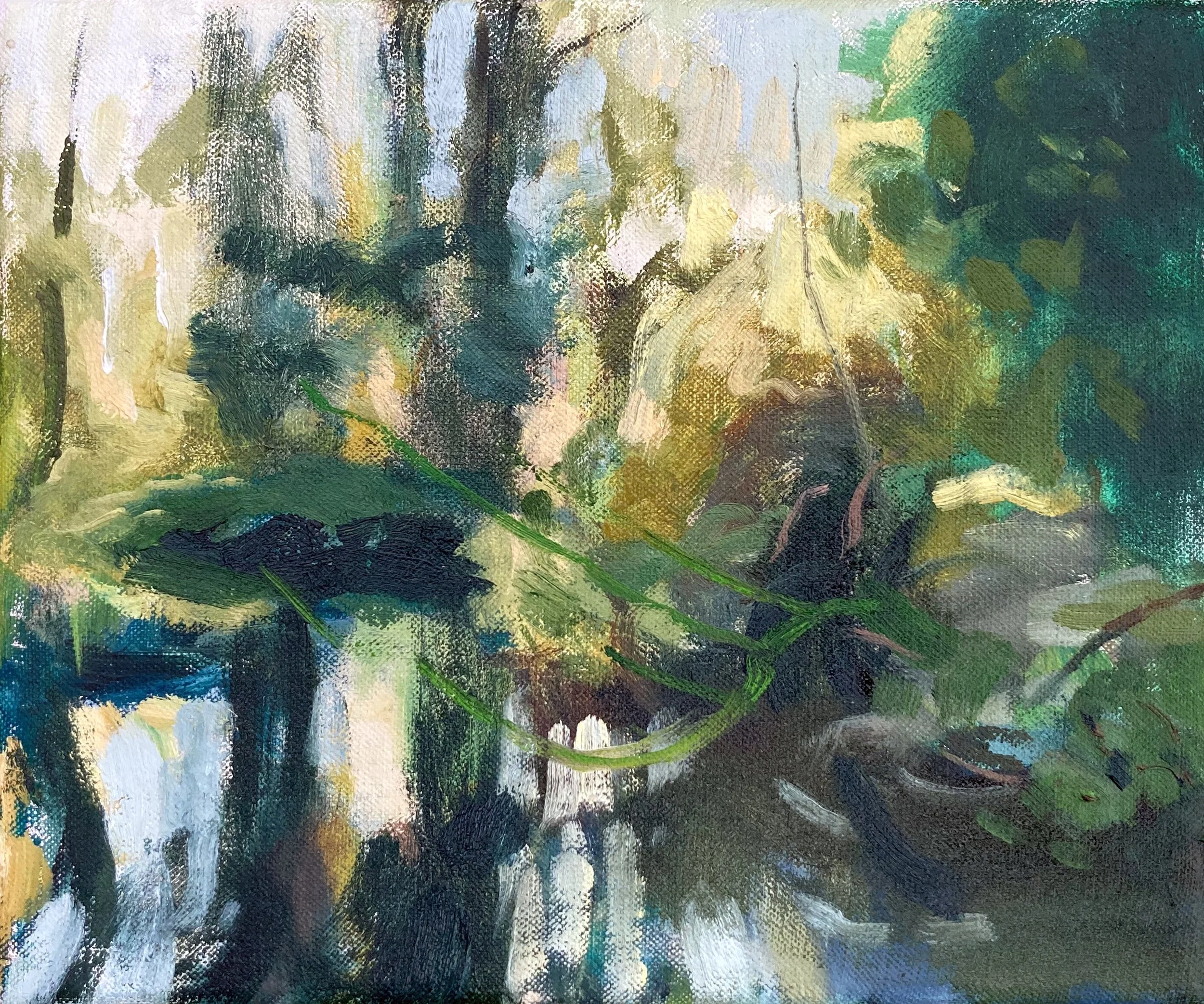 Pool at Milton Country Park