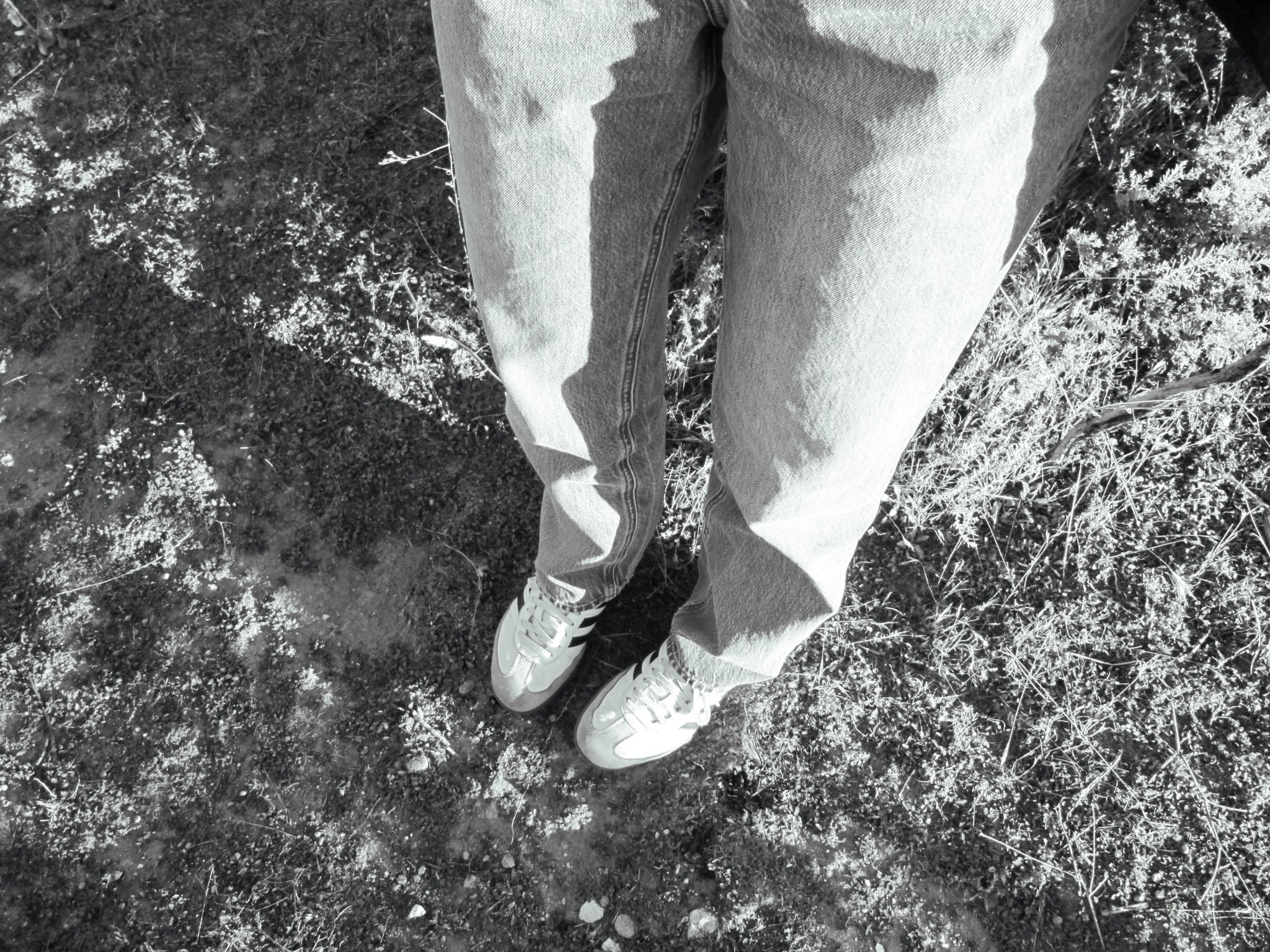 grass 1-669.jpg