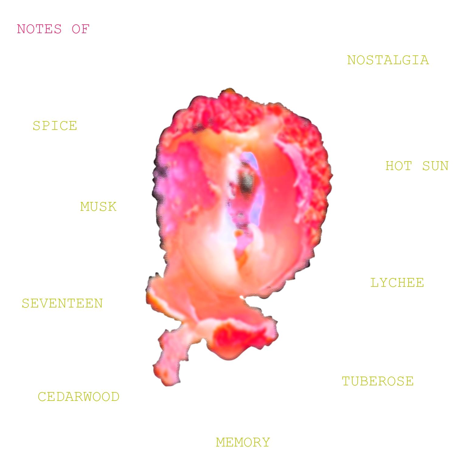notes for concept fragrance