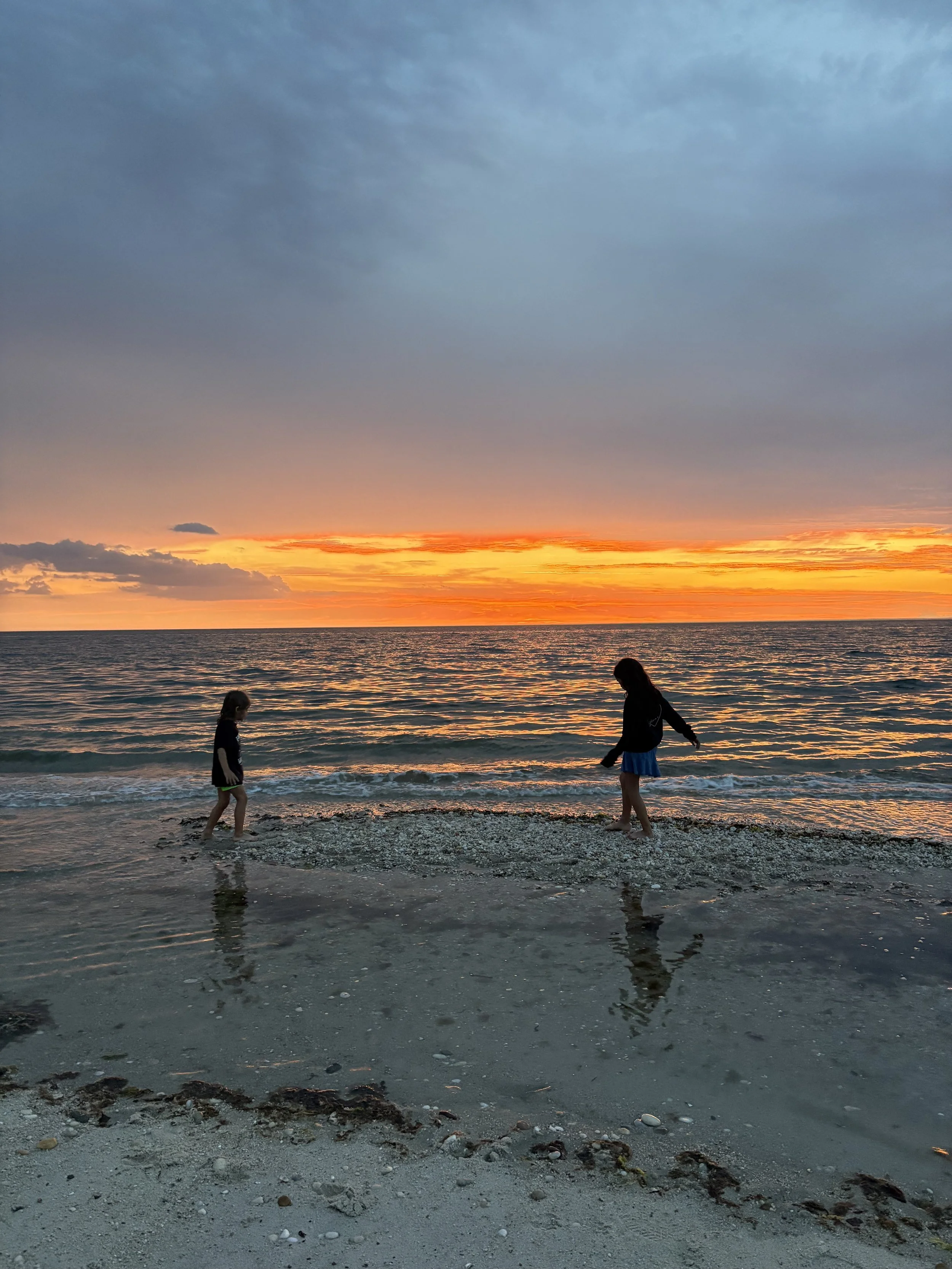 100 North Fork things to do with kids this summer