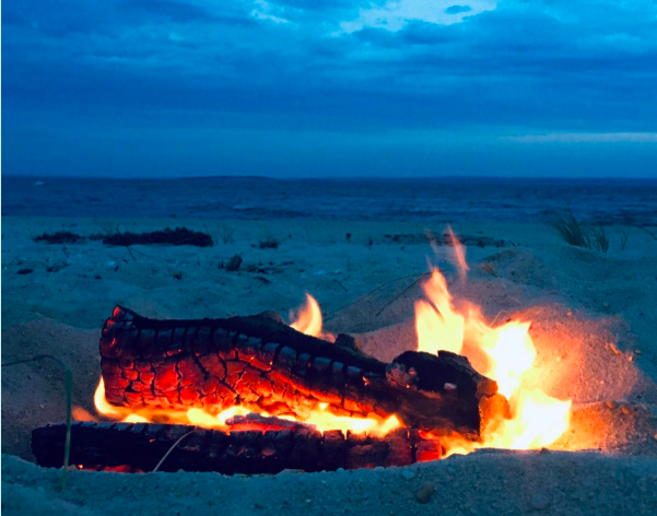 "Bring in the light" A Winter Solstice Celebration with Turtleback Farm