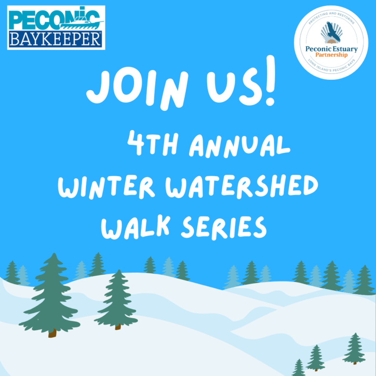 Peconic Baykeeper Winter Watershed Walk