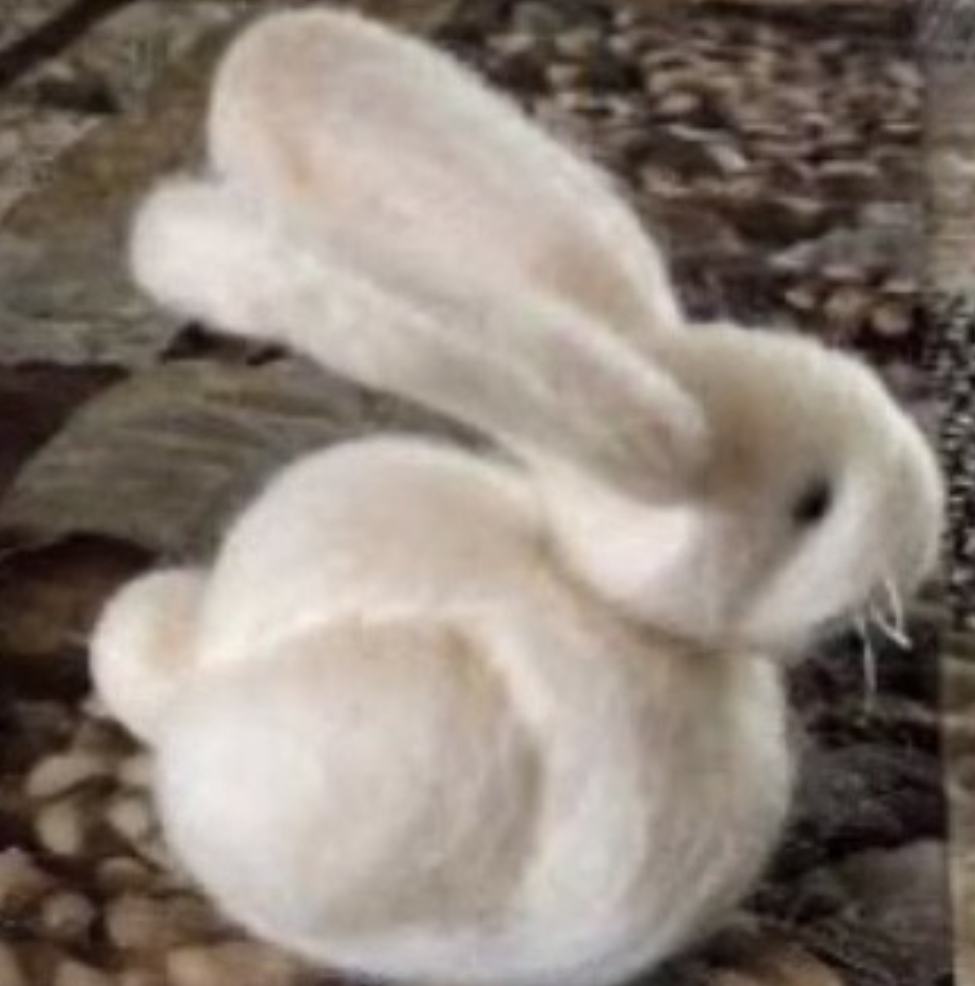 Needlefelting Workshop 