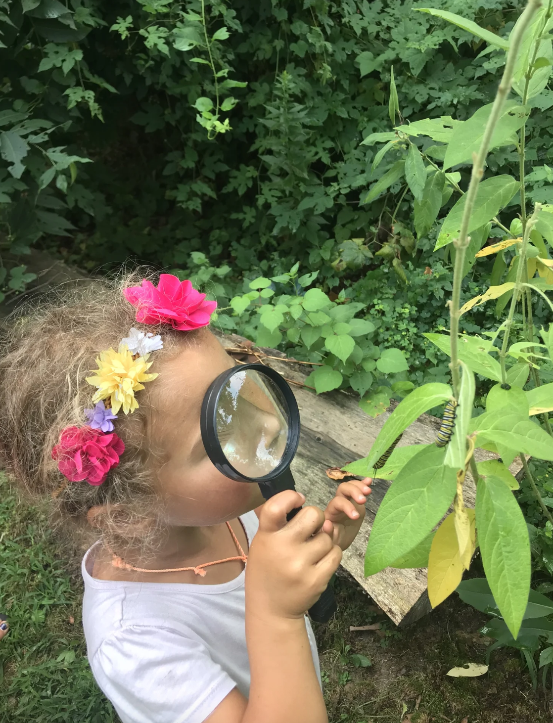 Bug Scavenger Hunt with Group for the East End