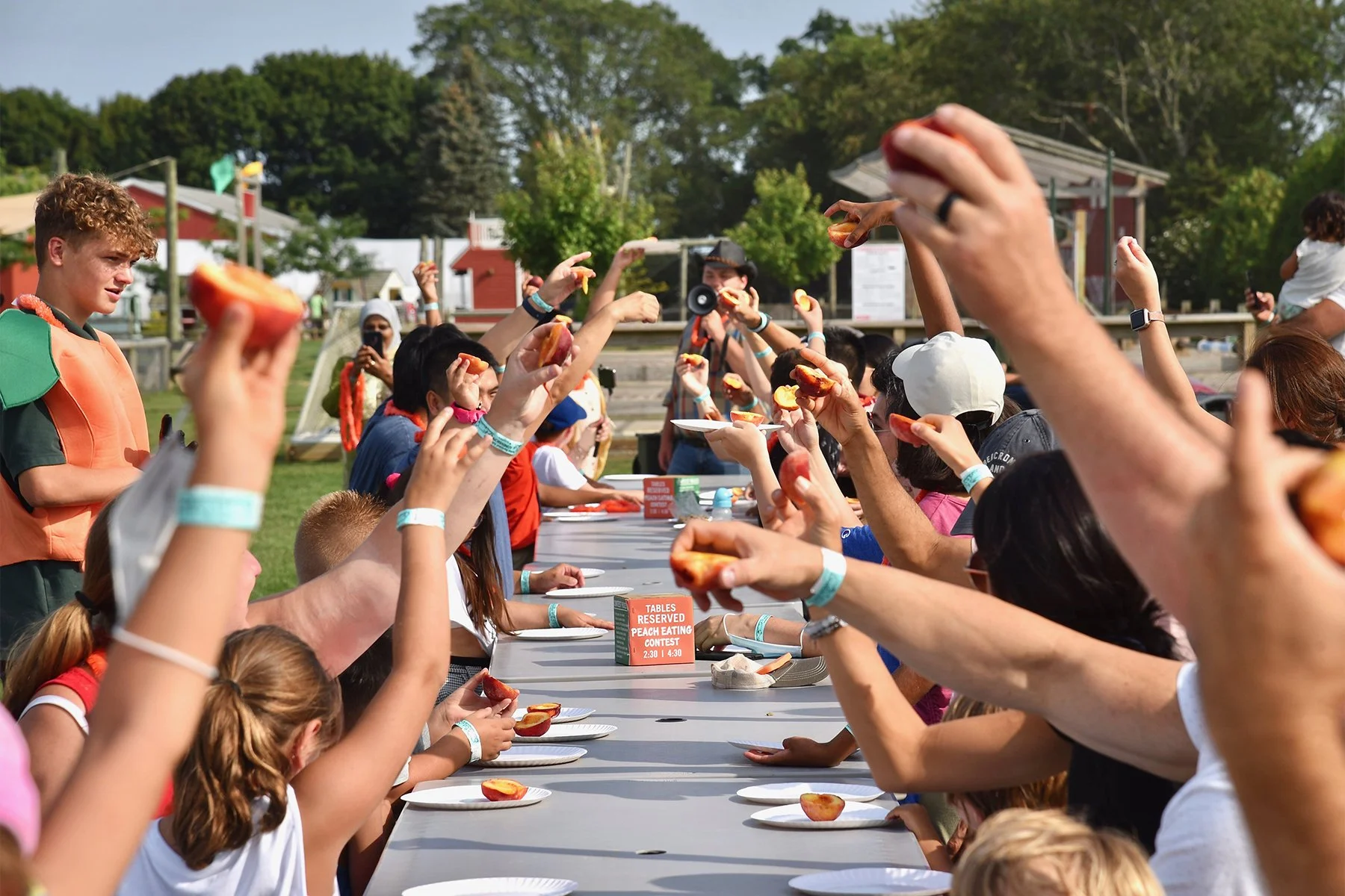 Harbes Family Farm Peach Festival