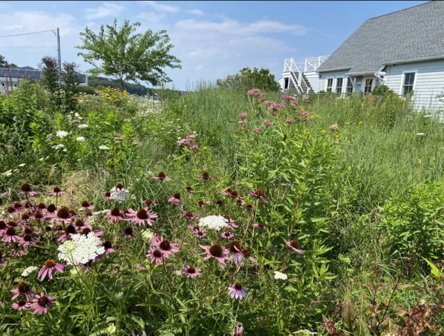 Garden Art for Kids by the New Suffolk Waterfront Fund