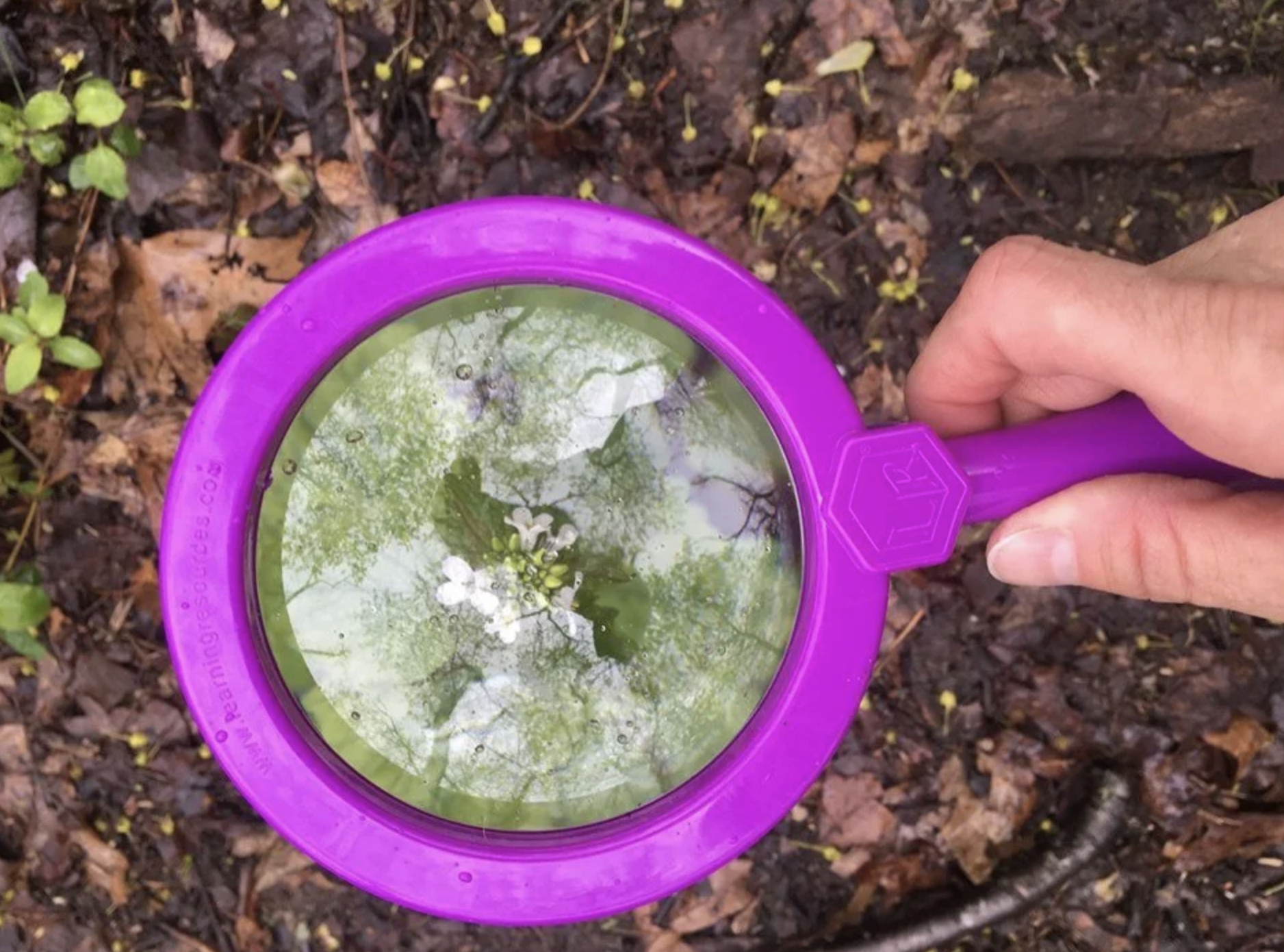 Nature Scavenger Hunt with Group for the East End