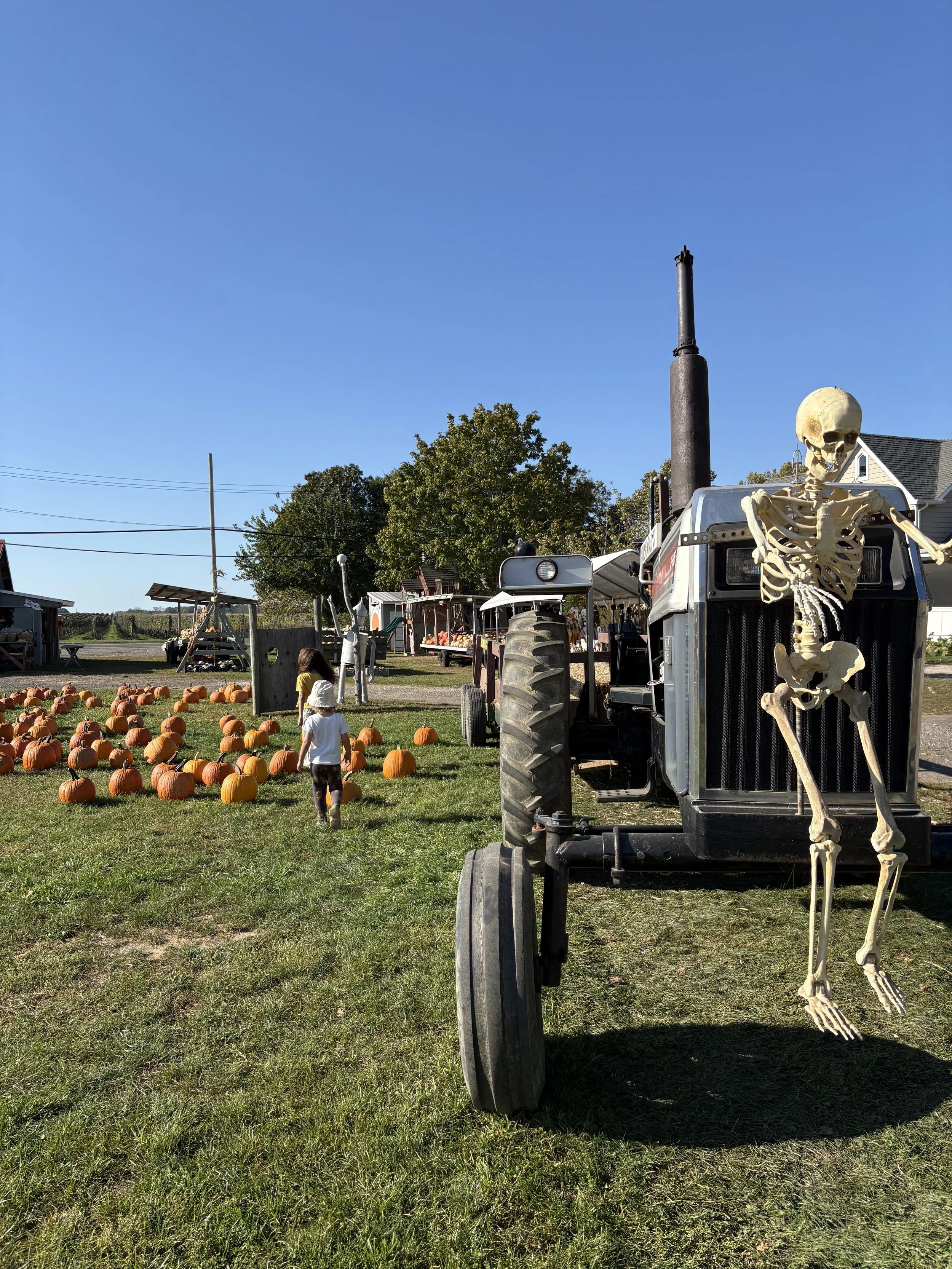 Pumpkin Picking on the North Fork with Kids