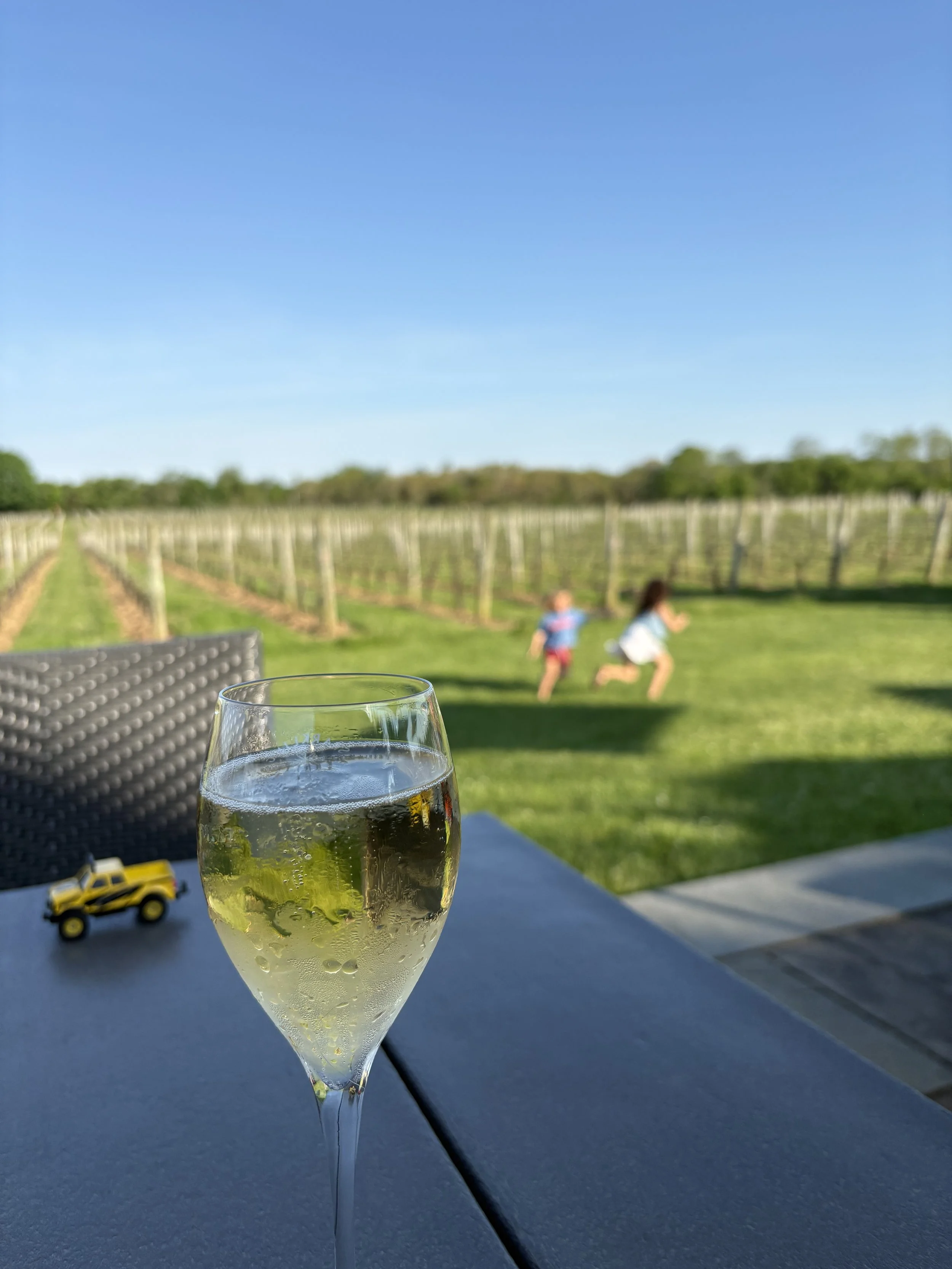 Our 10 Favorite Family-Friendly North Fork Wineries