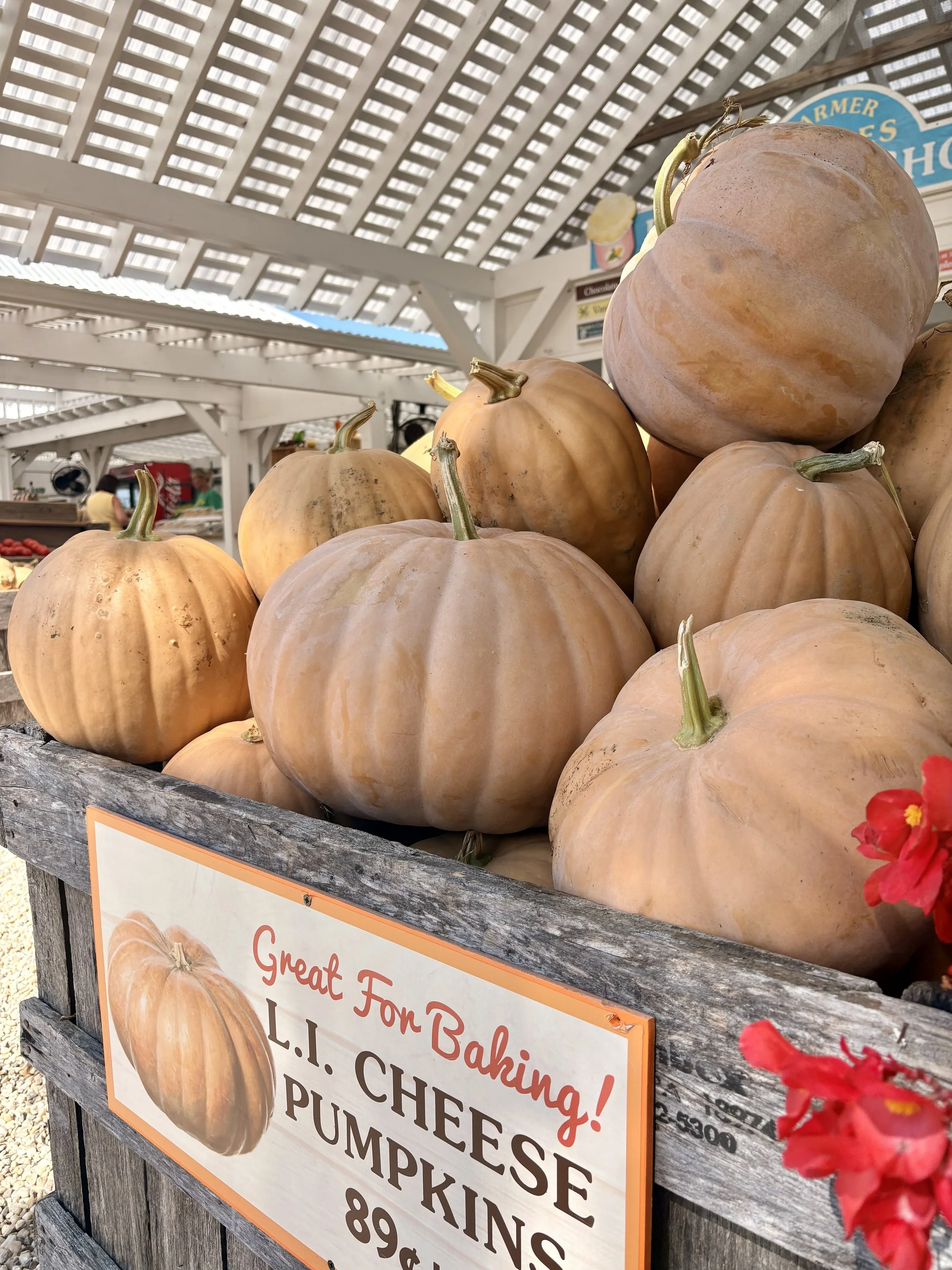 Your Family-Friendly Guide to North Fork Fall Festivals