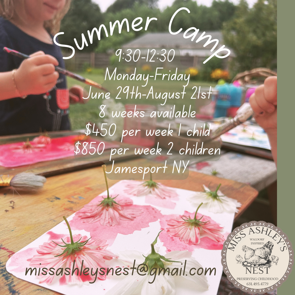 Nest Camp Spotlight copy.png