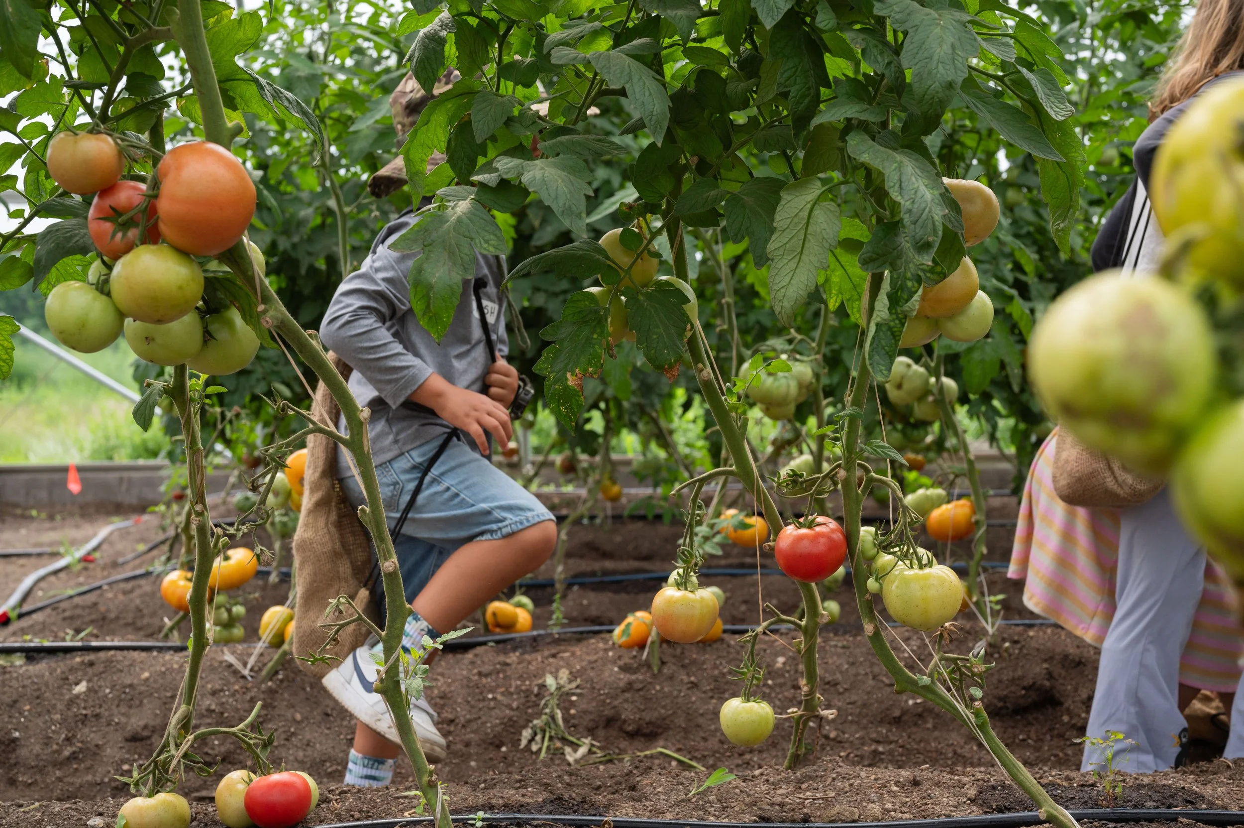 Sang Lee Farms’ Children’s Summer Workshops invite children to explore, forage, craft, and get their hands dirty in weekly immersive sessions