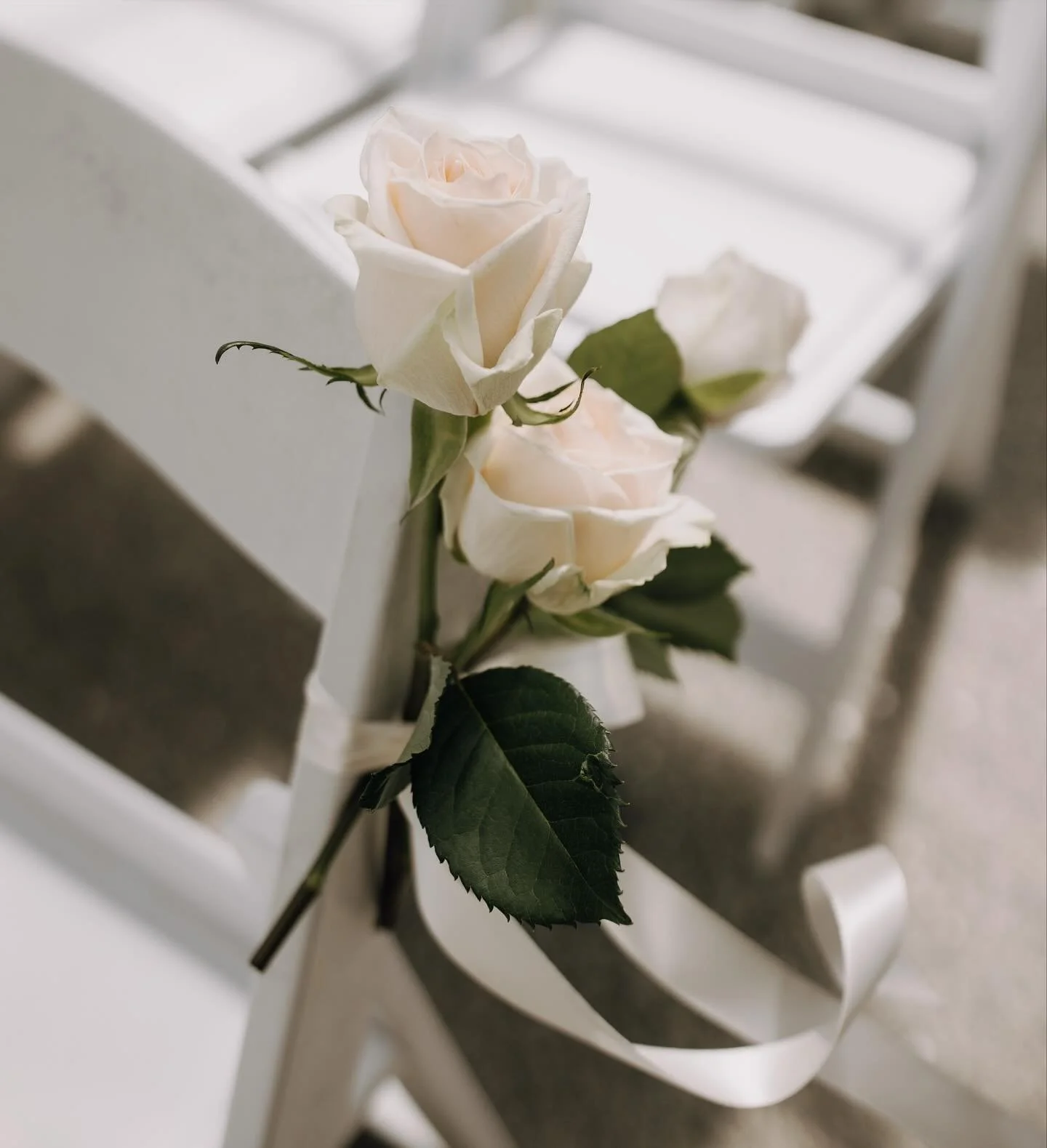 Delicate blooms for M&amp;S 

&bull;
&bull;
&bull;

#wildflower #wildflowerwaiheke #wedding #weddingflowers #florals #floralstyling #floraldesign #flowers #bouquets #weddingreception #weddingceremony #weddinginspiration #waihekewedding #waihekeisland