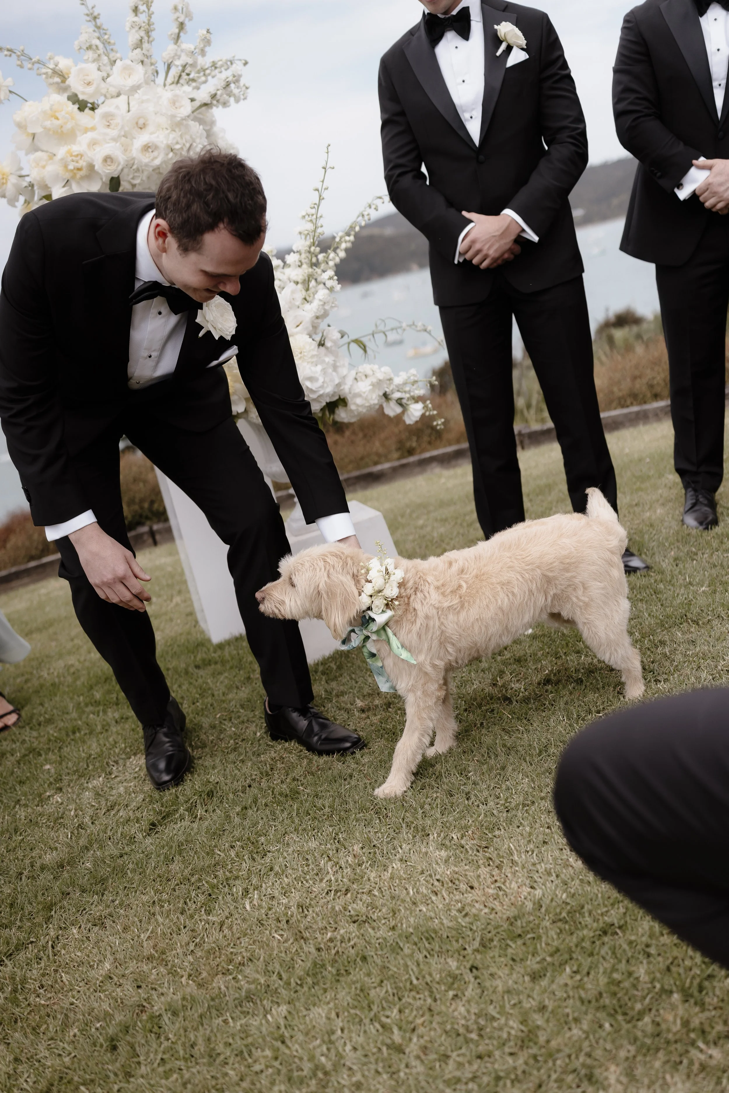 A&AWedding-586.jpg