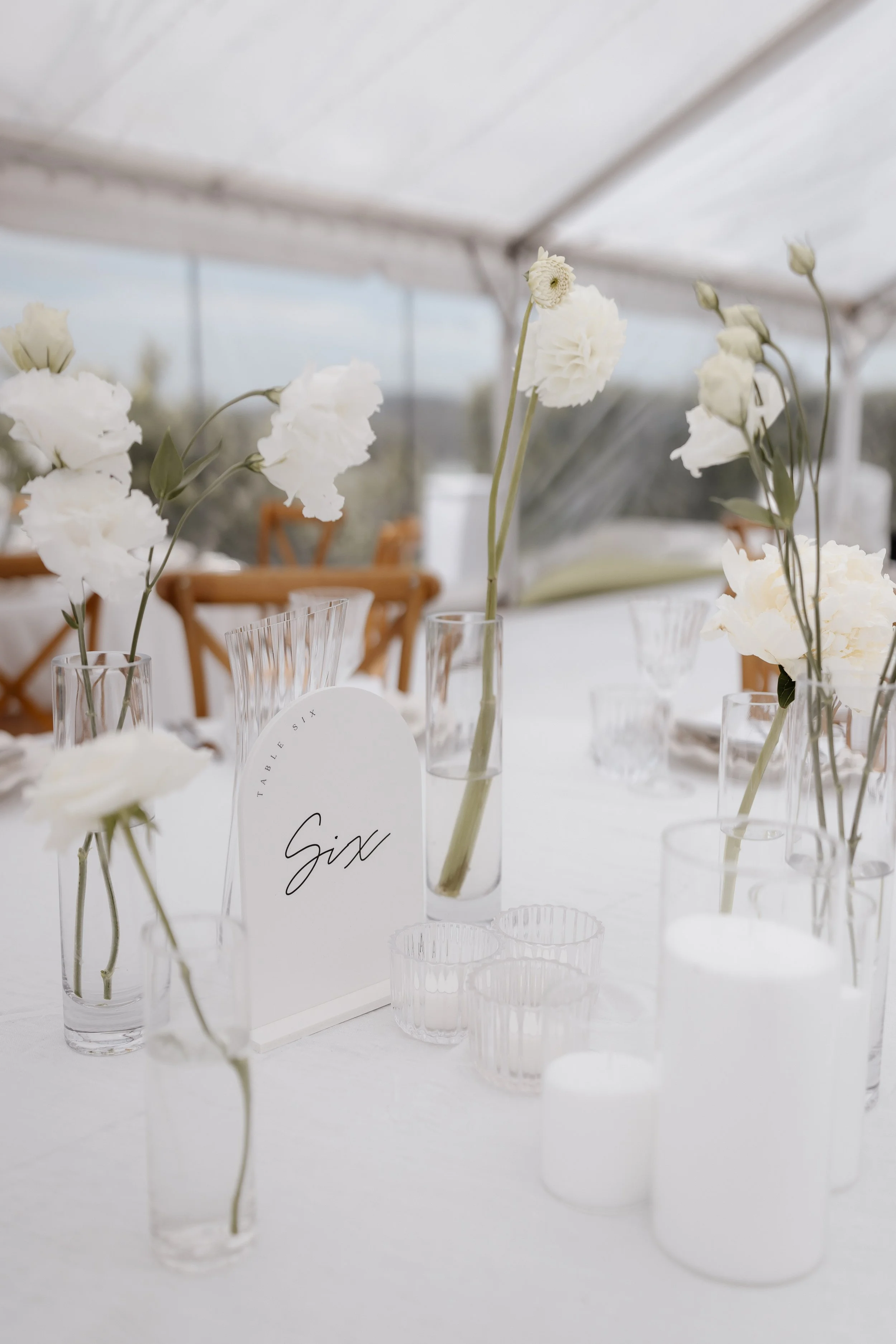 A&AWedding-183.jpg