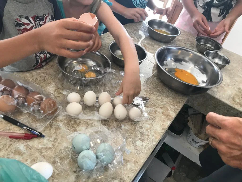 Learning About Eggs