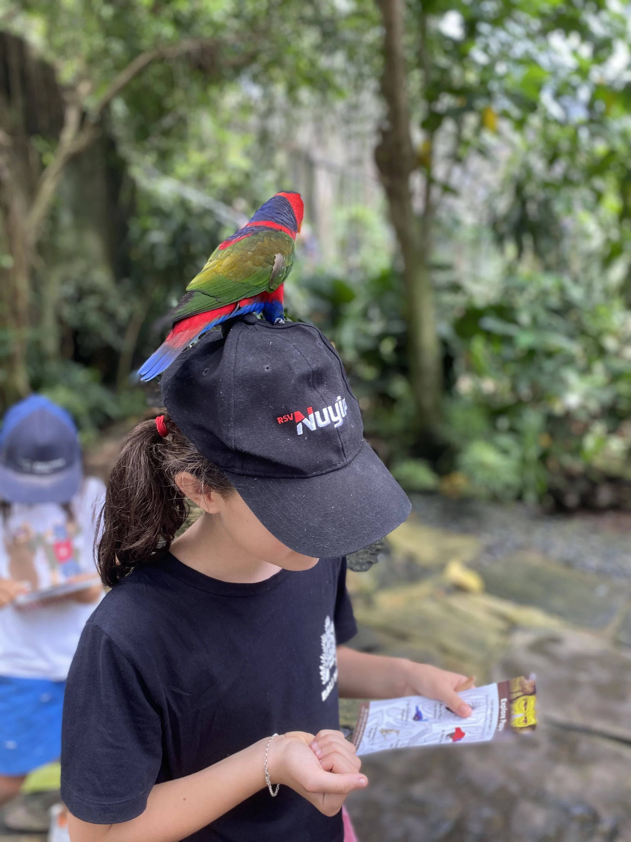Bali Bird Park.jpg