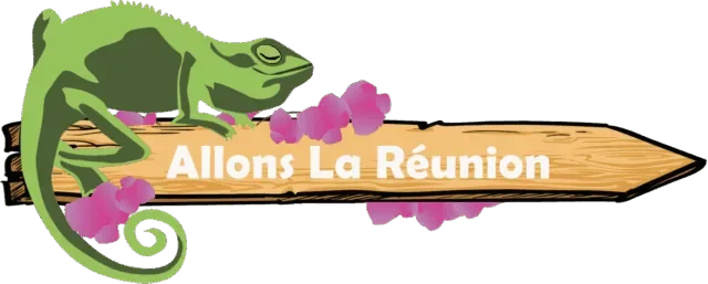 Logo Allons la Réunion