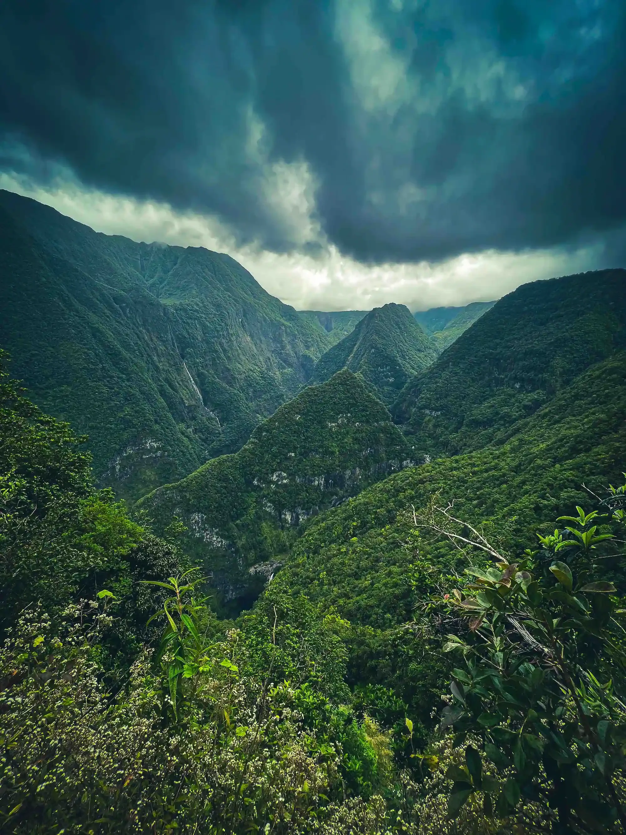 vallée takamaka OPT .webp