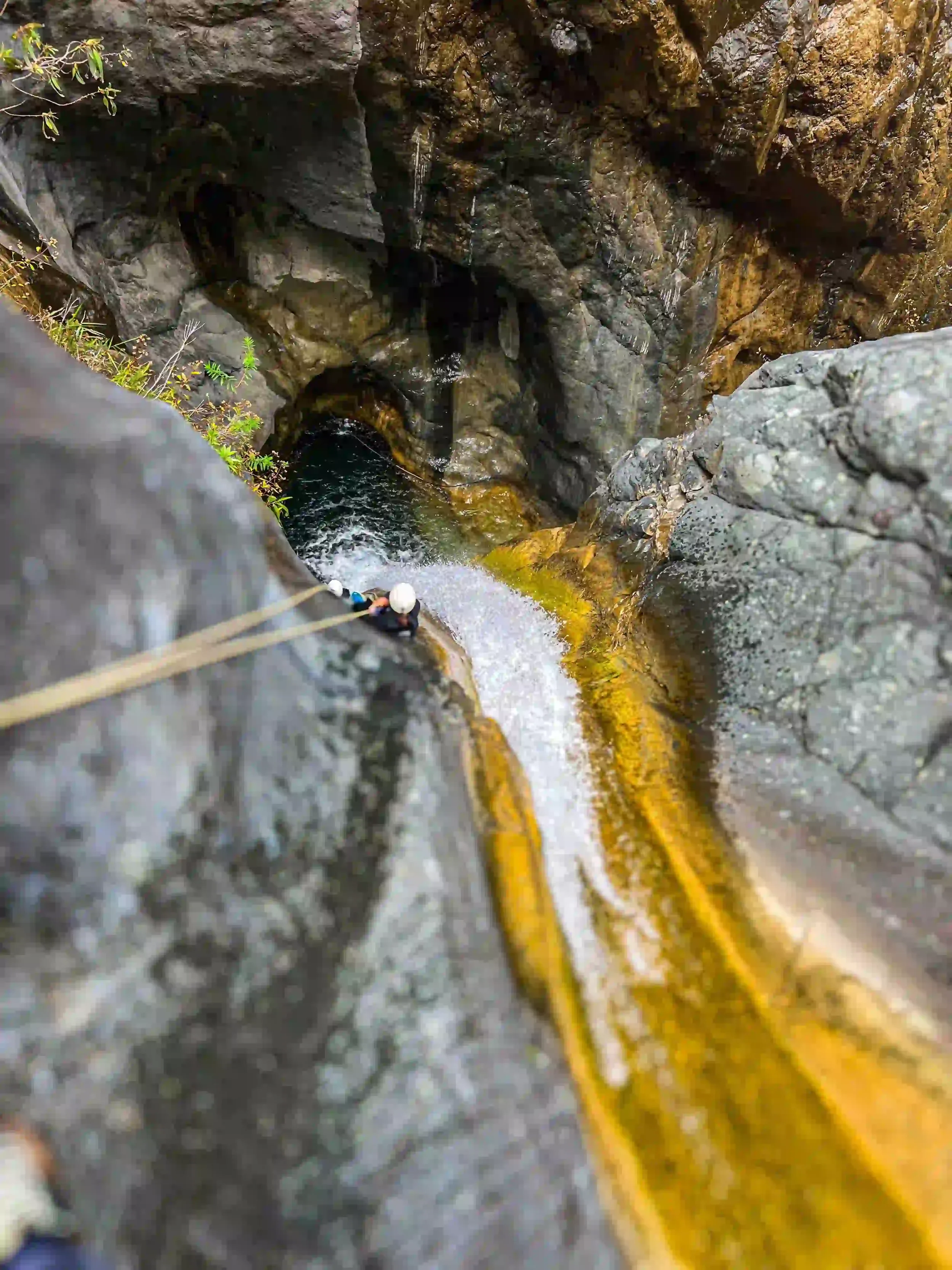 T14 bras rouge OPT.webp