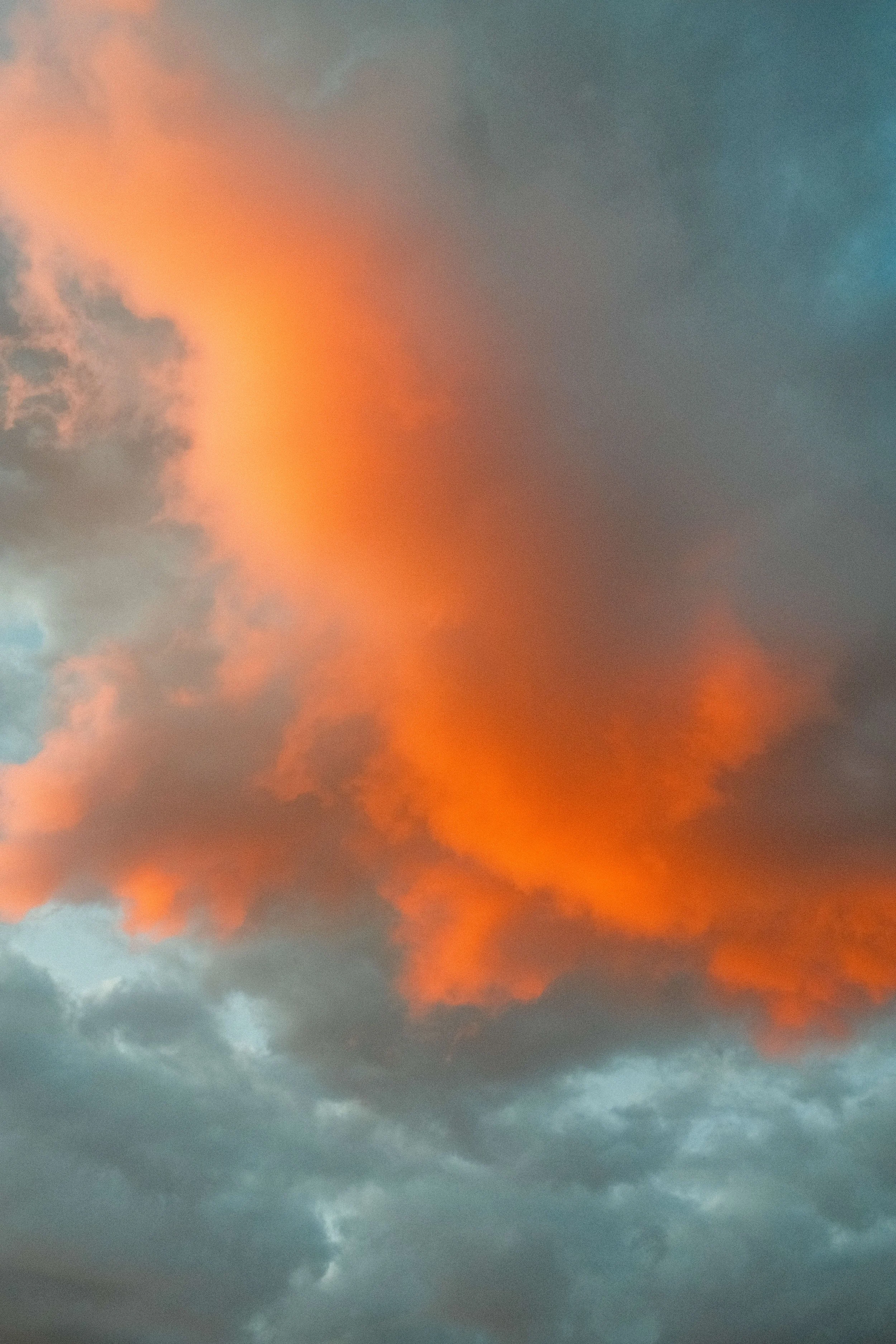 DSCF9952.jpg