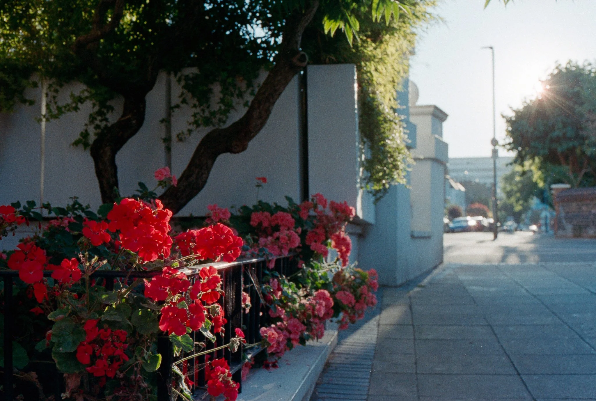 Putney, London - Englad