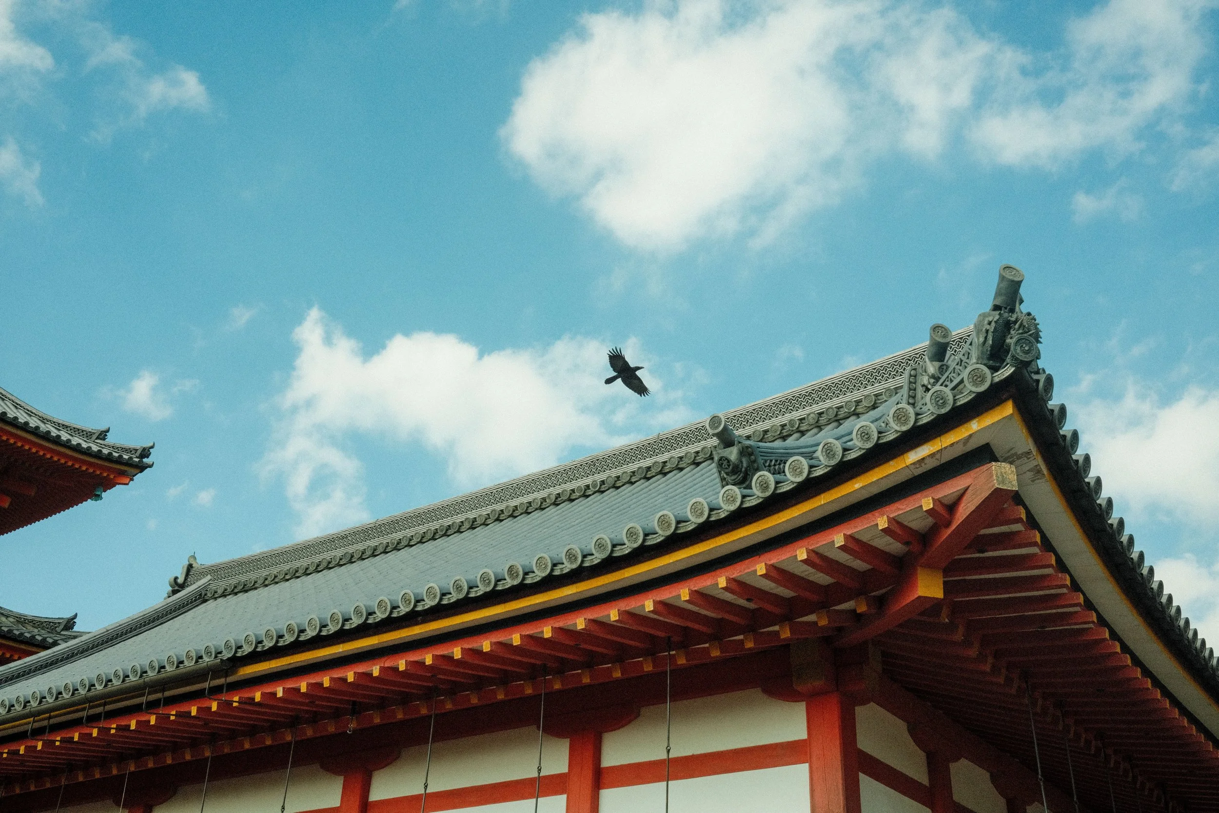 DSCF8405-2.jpg