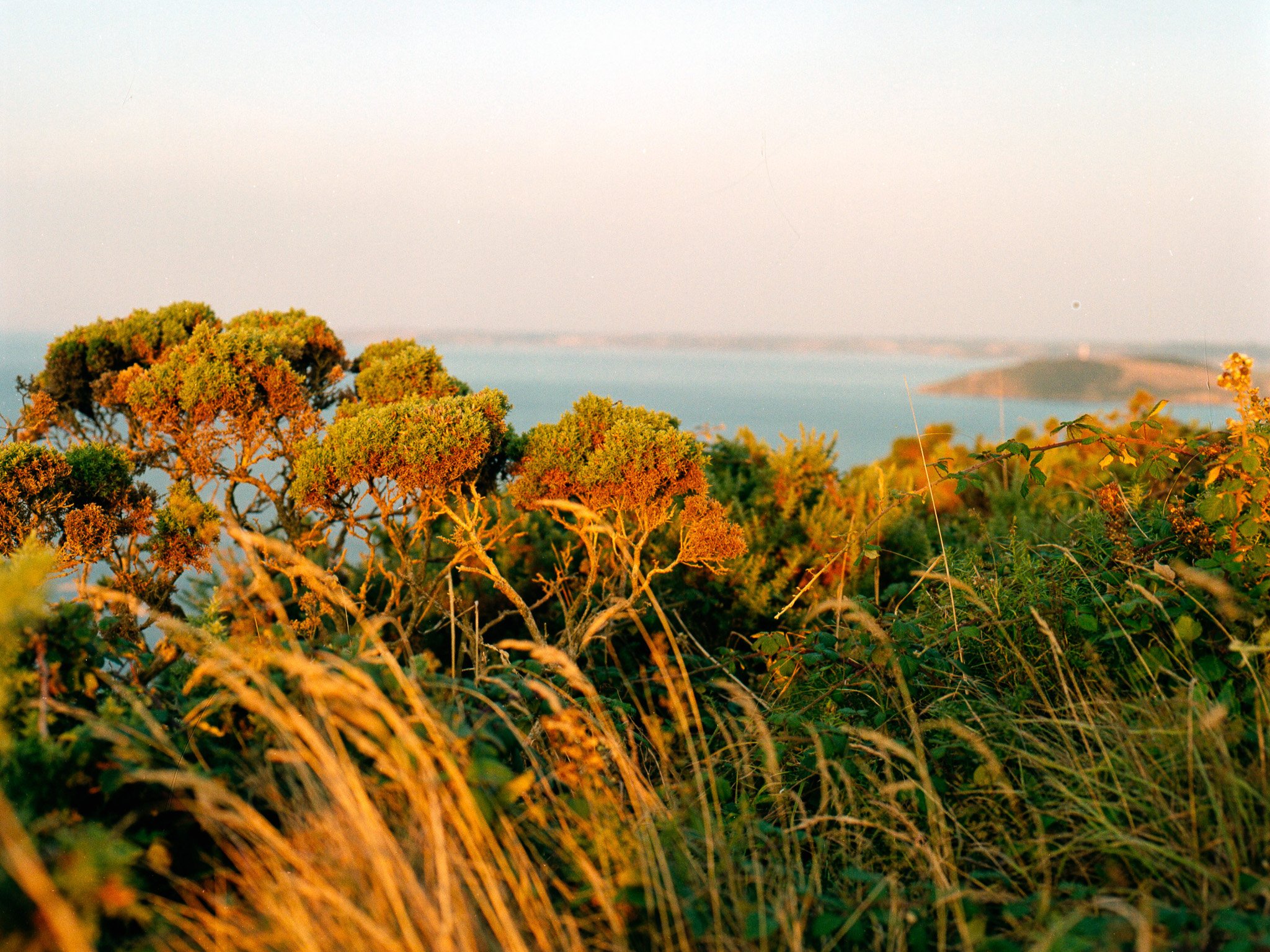 Lantic Bay, Cornwall - England