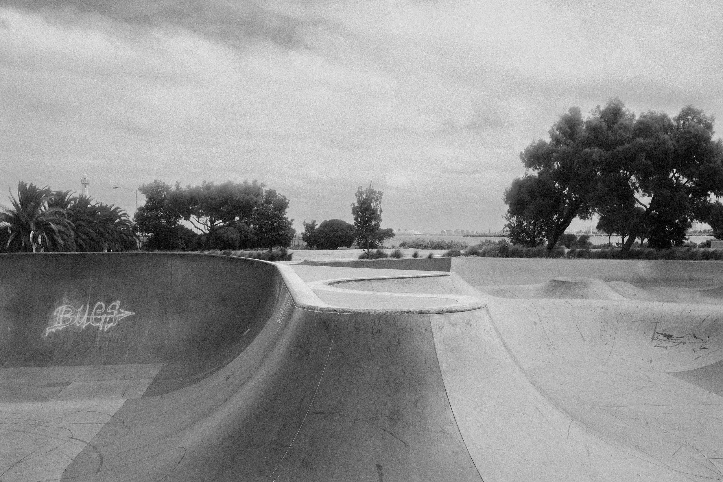 DSCF1547.jpg