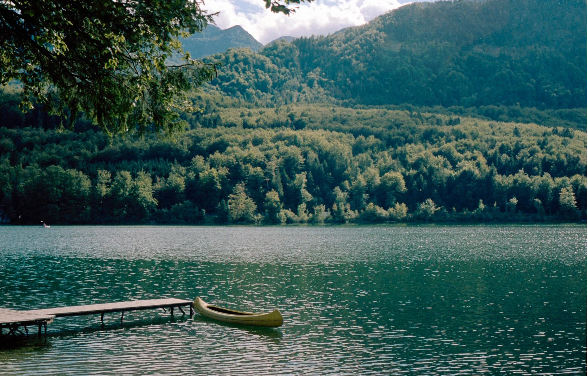 Lake Bohinj, Bled - Slovenia