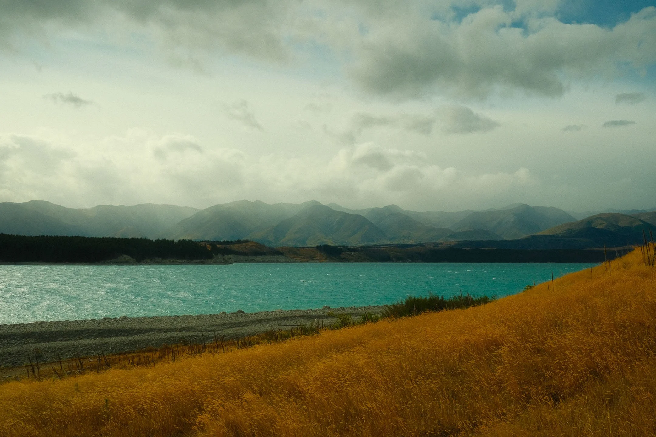 DSCF0463-2.jpg