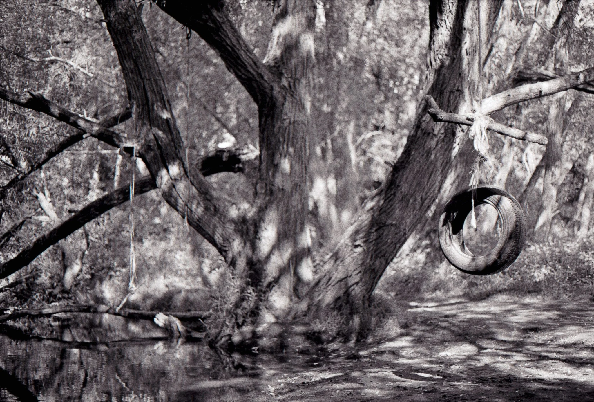 Tire swing - Midlands, UK