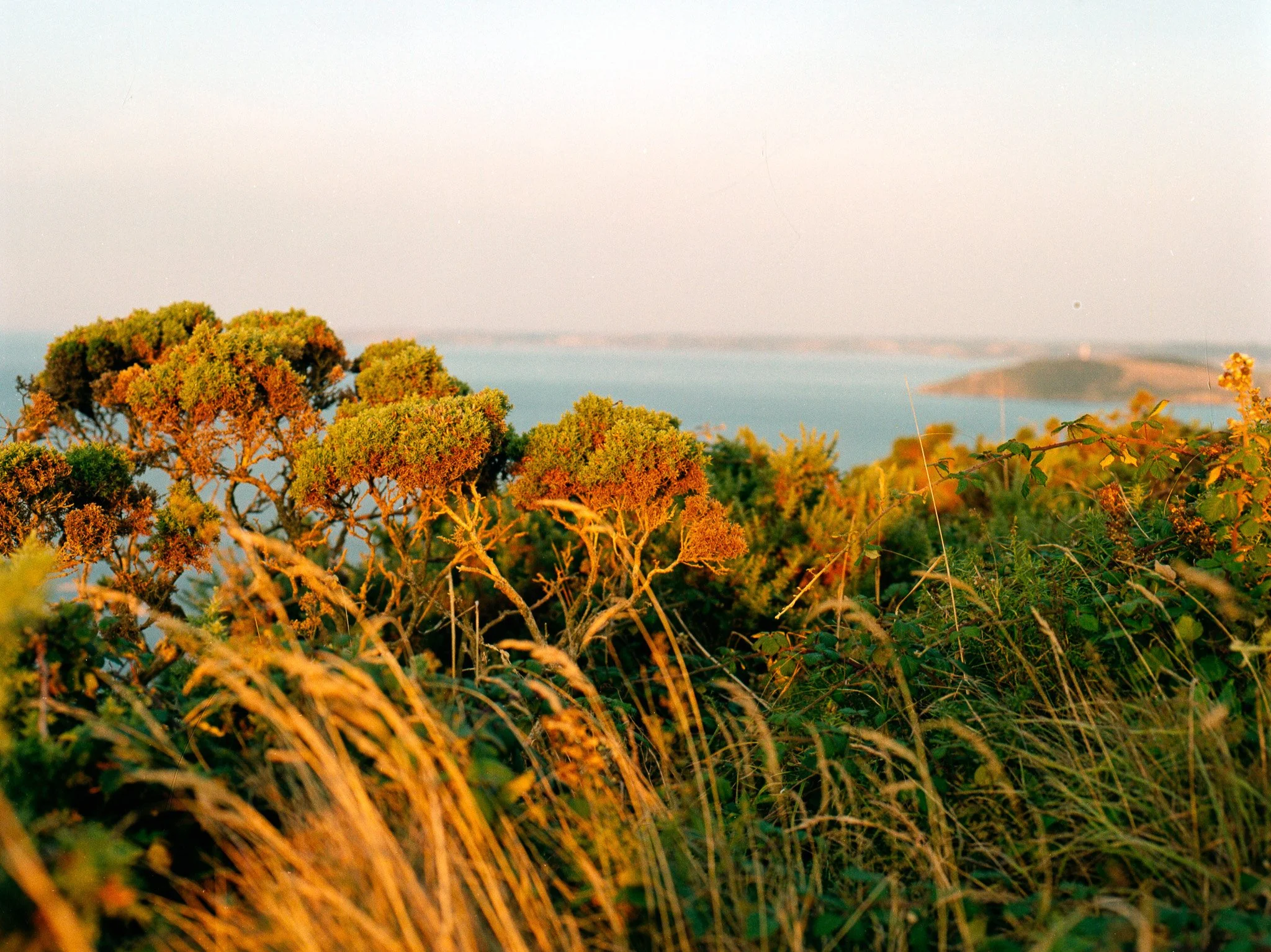 Sunrise over Polruan, Cornwall - United Kingdom