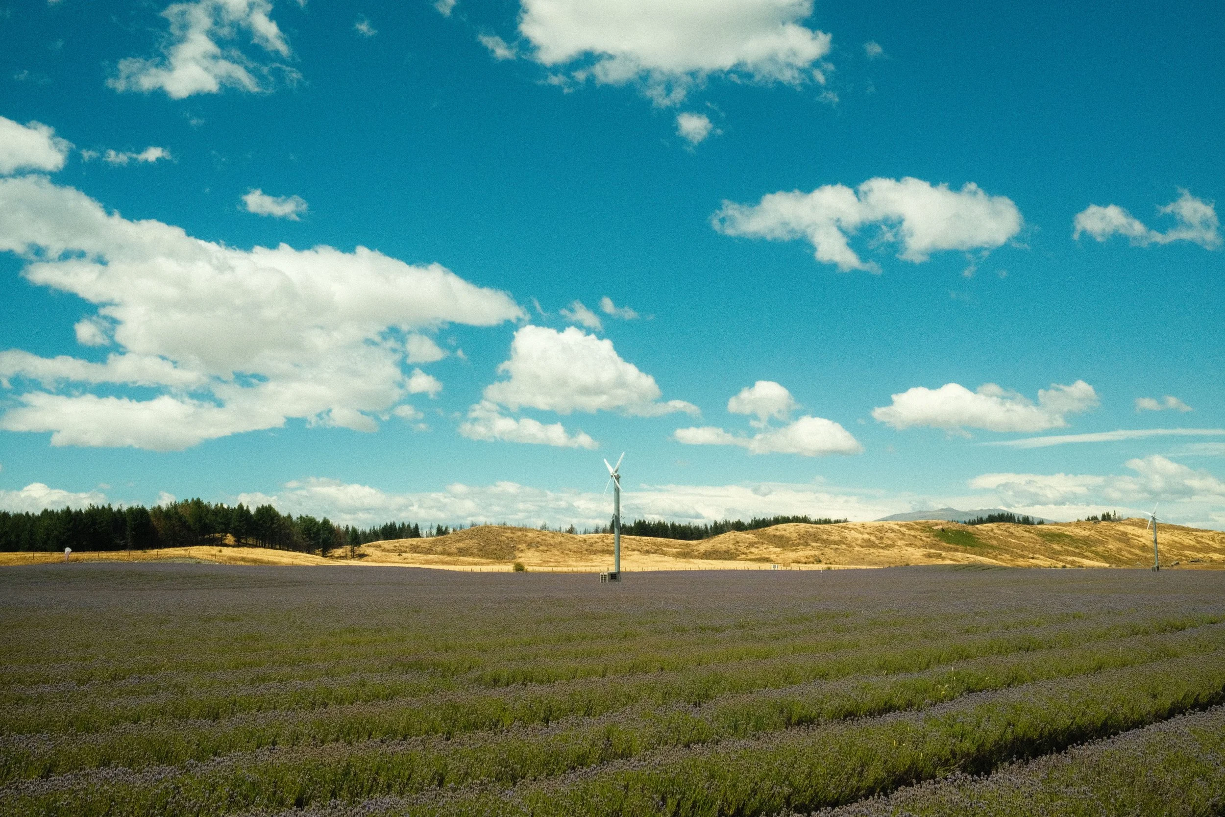 DSCF0534.jpg