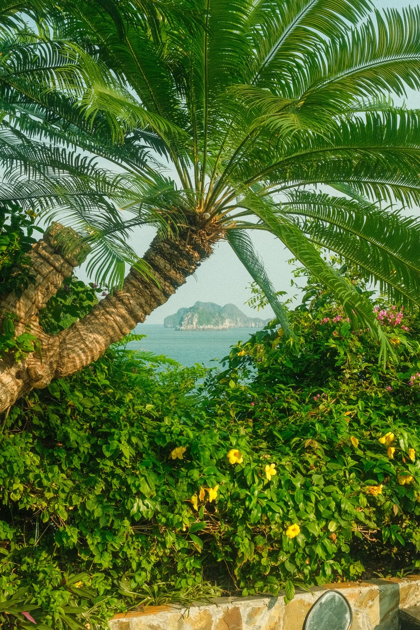 Cat Ba Island - Vietnam