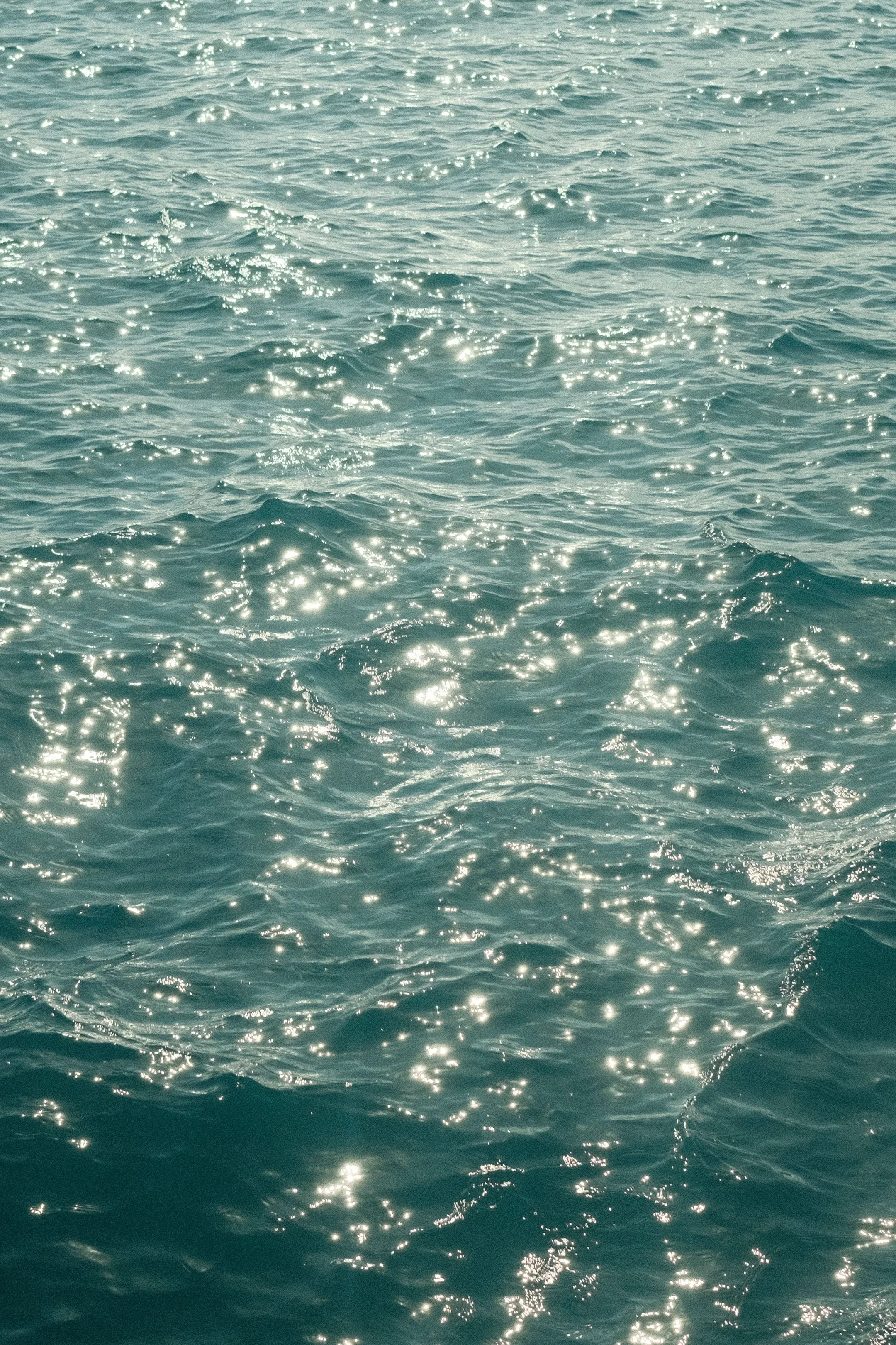 DSCF0072.jpg