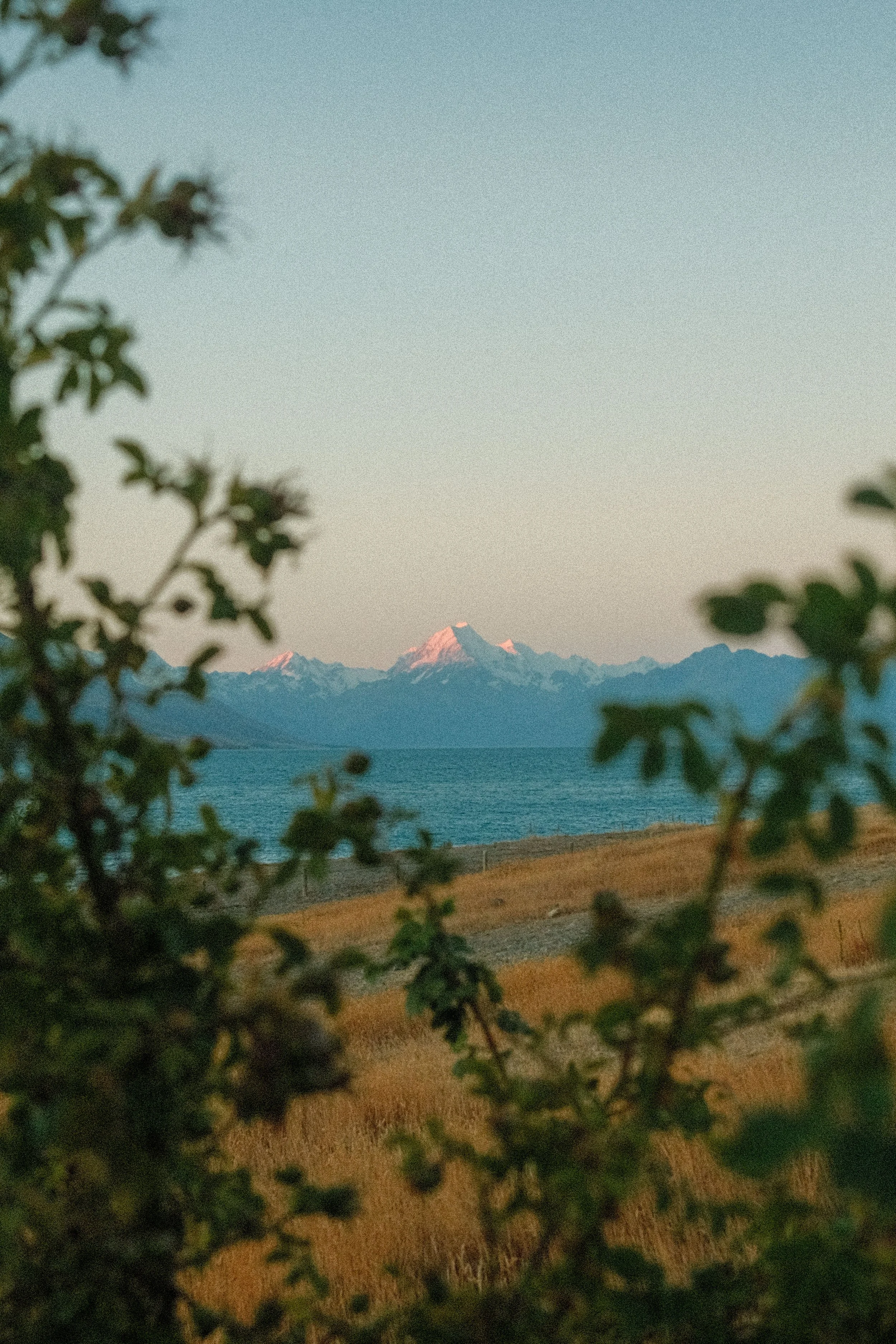 DSCF1342.jpg