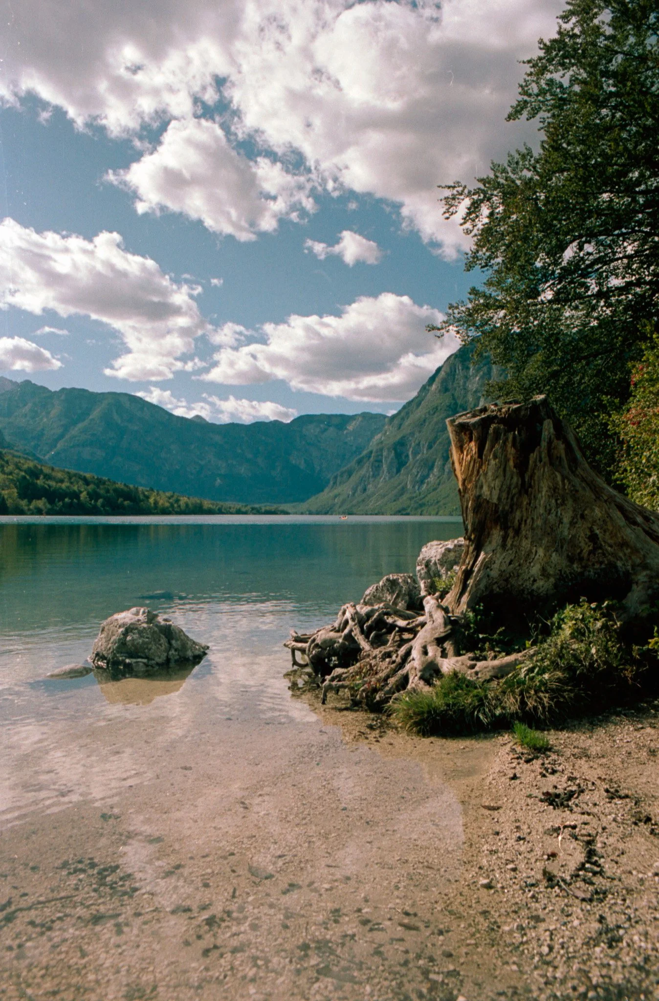 Lake Bohinj - Slovenia