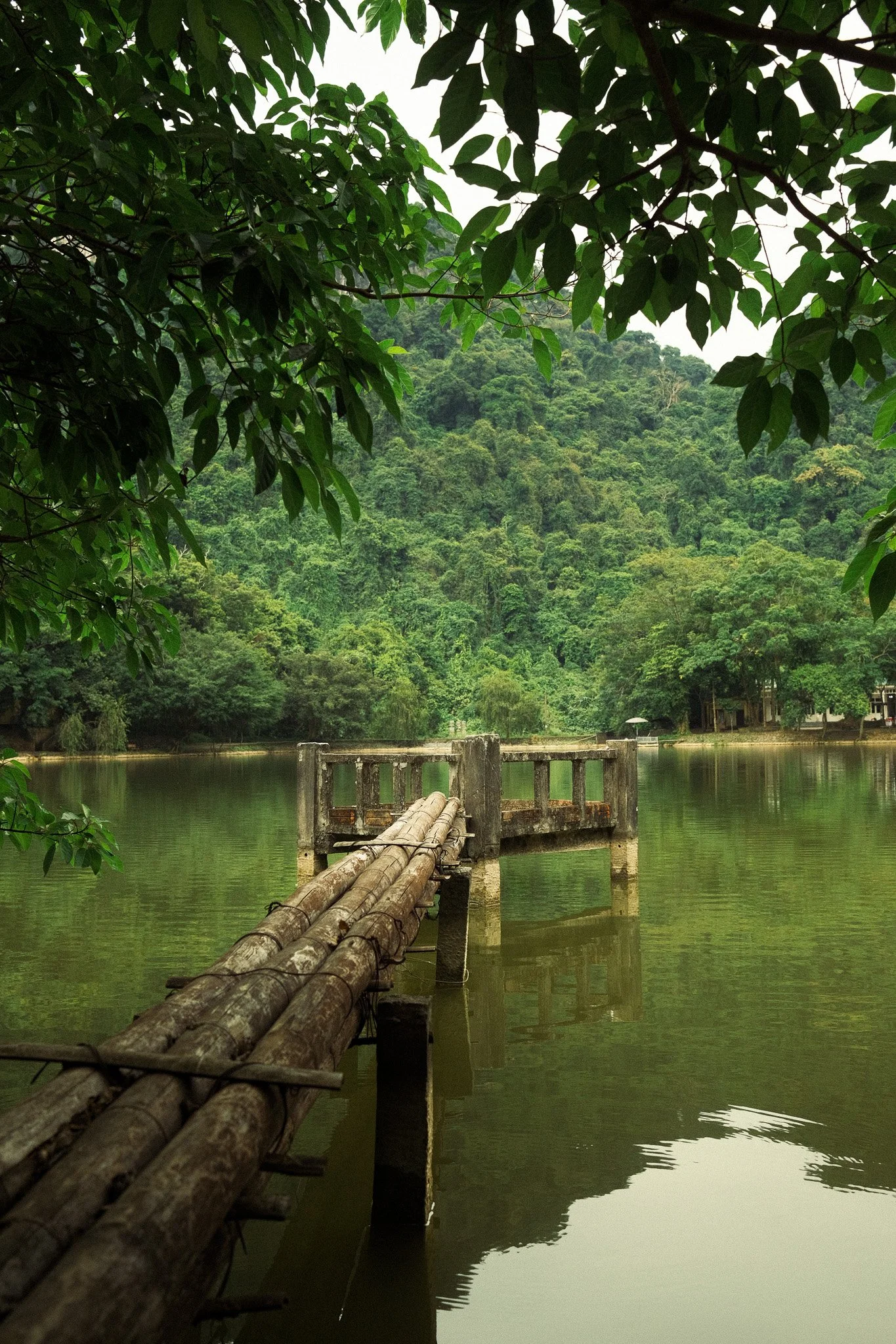 Cuc Phong National Park - Vietnam