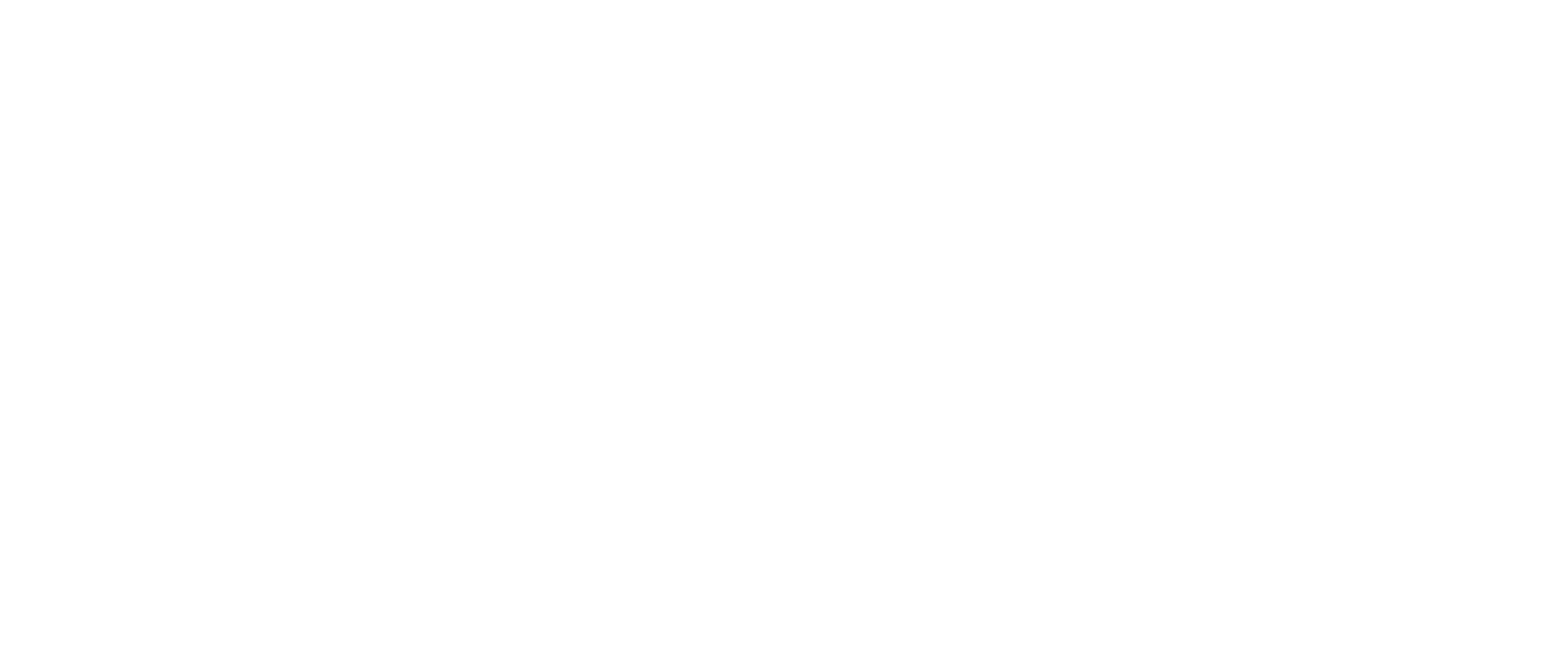 Colorado Equine Photographer