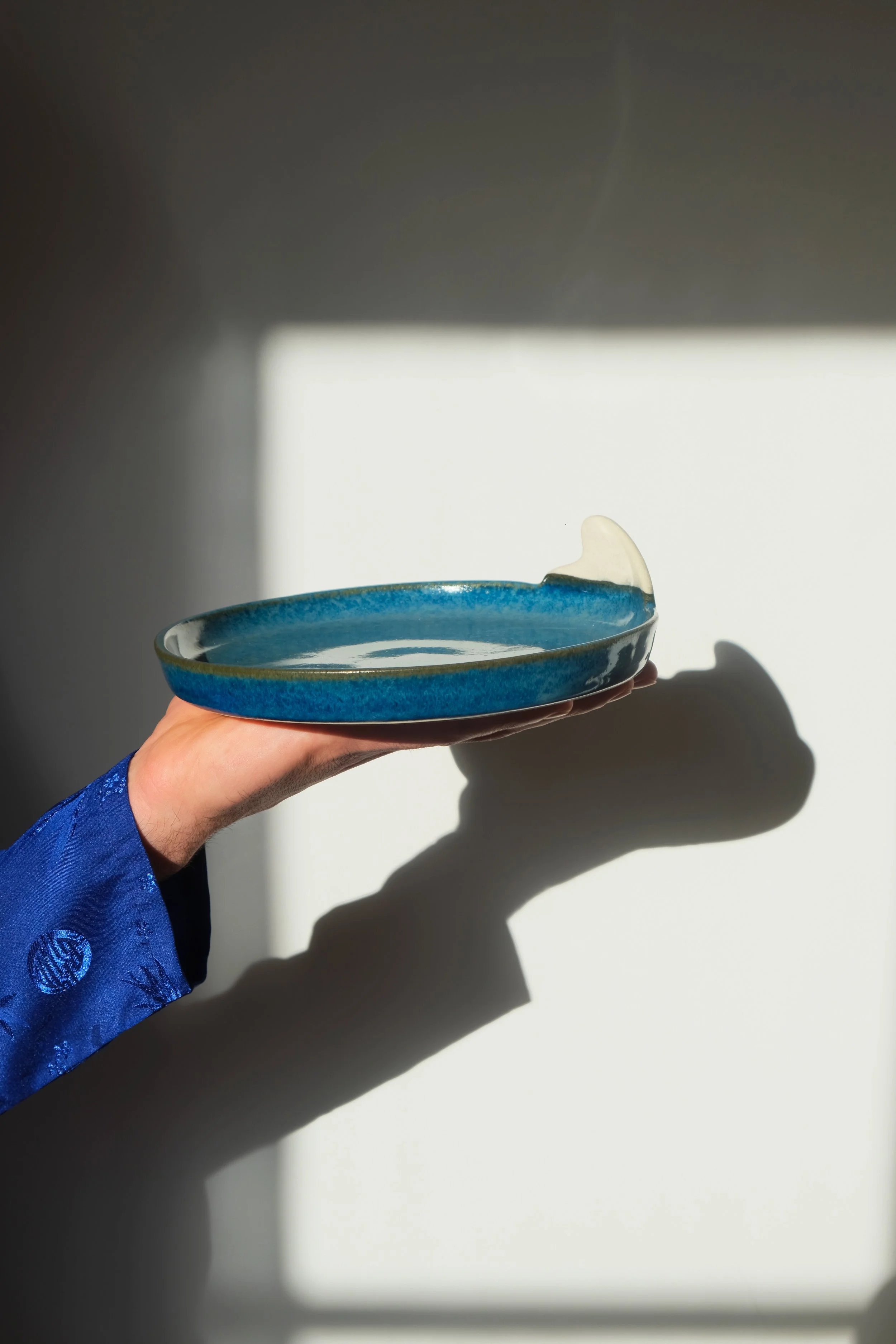 assiette SHARKATTACK