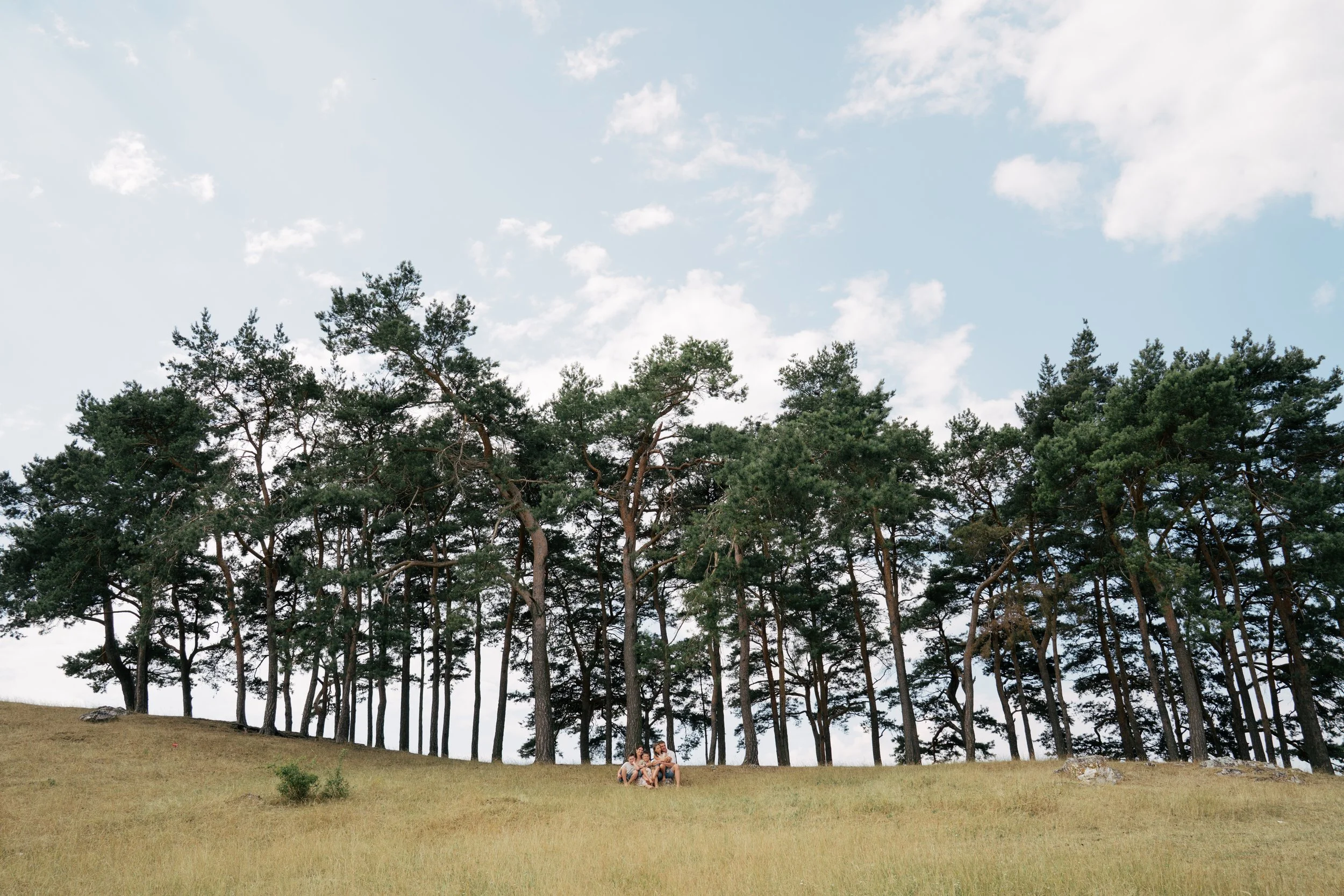 Eine Gruppe von fünf Personen sitzt im Gras vor einer Baumreihe unter einem Himmel mit Wolken.