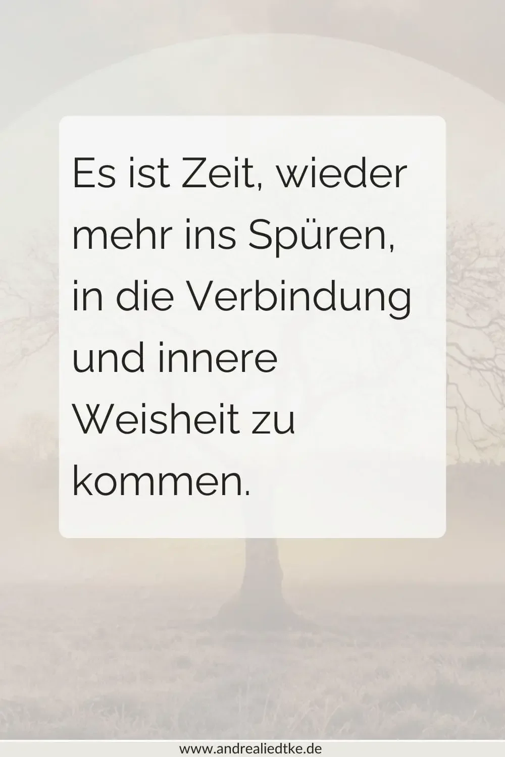 Es ist Zeit, wie mehr ins Spüren, in die Verbindung und innere Weisheit zu kommen 