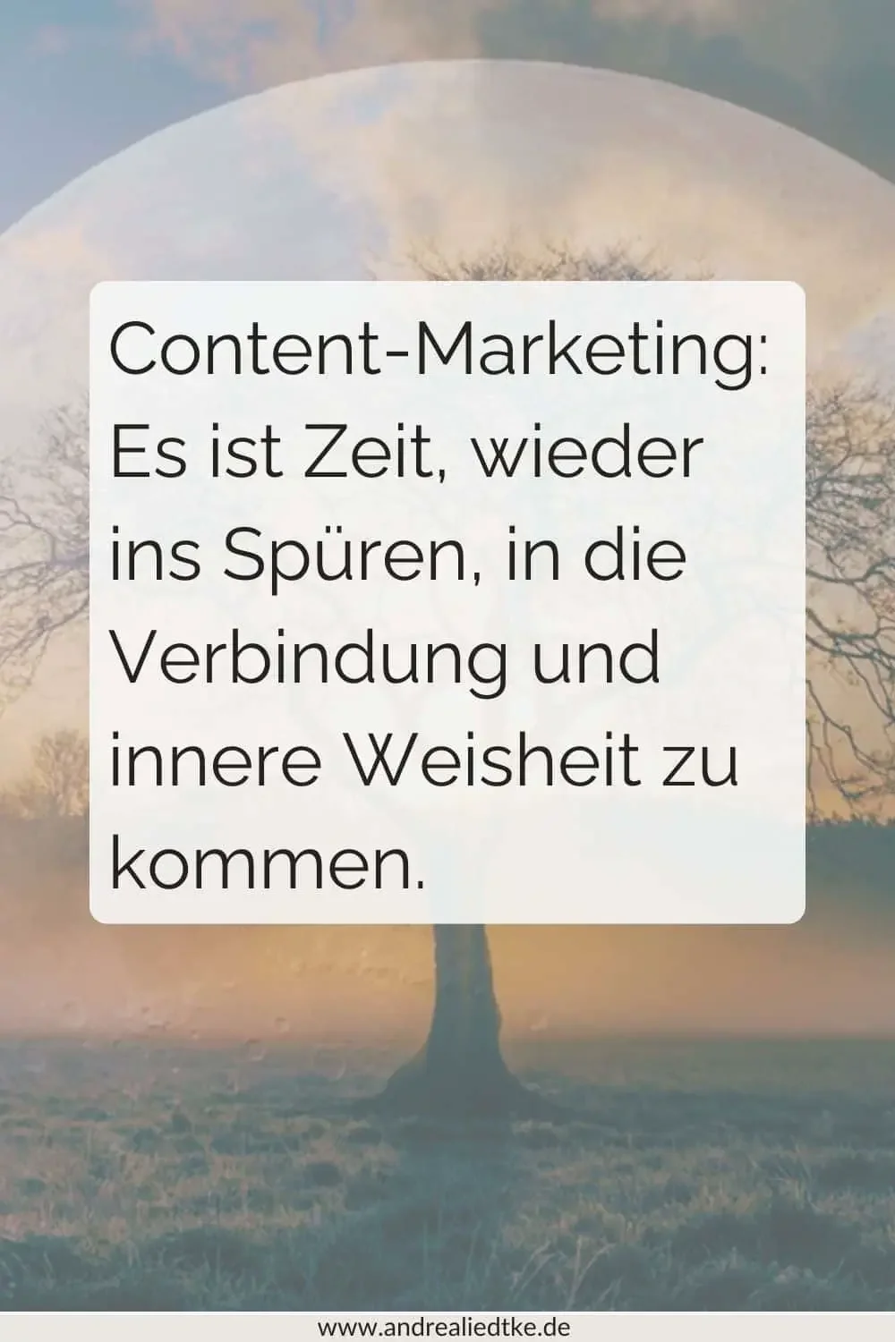 Content Verbindung: Bild mit Baum und mystischem Hintergrund