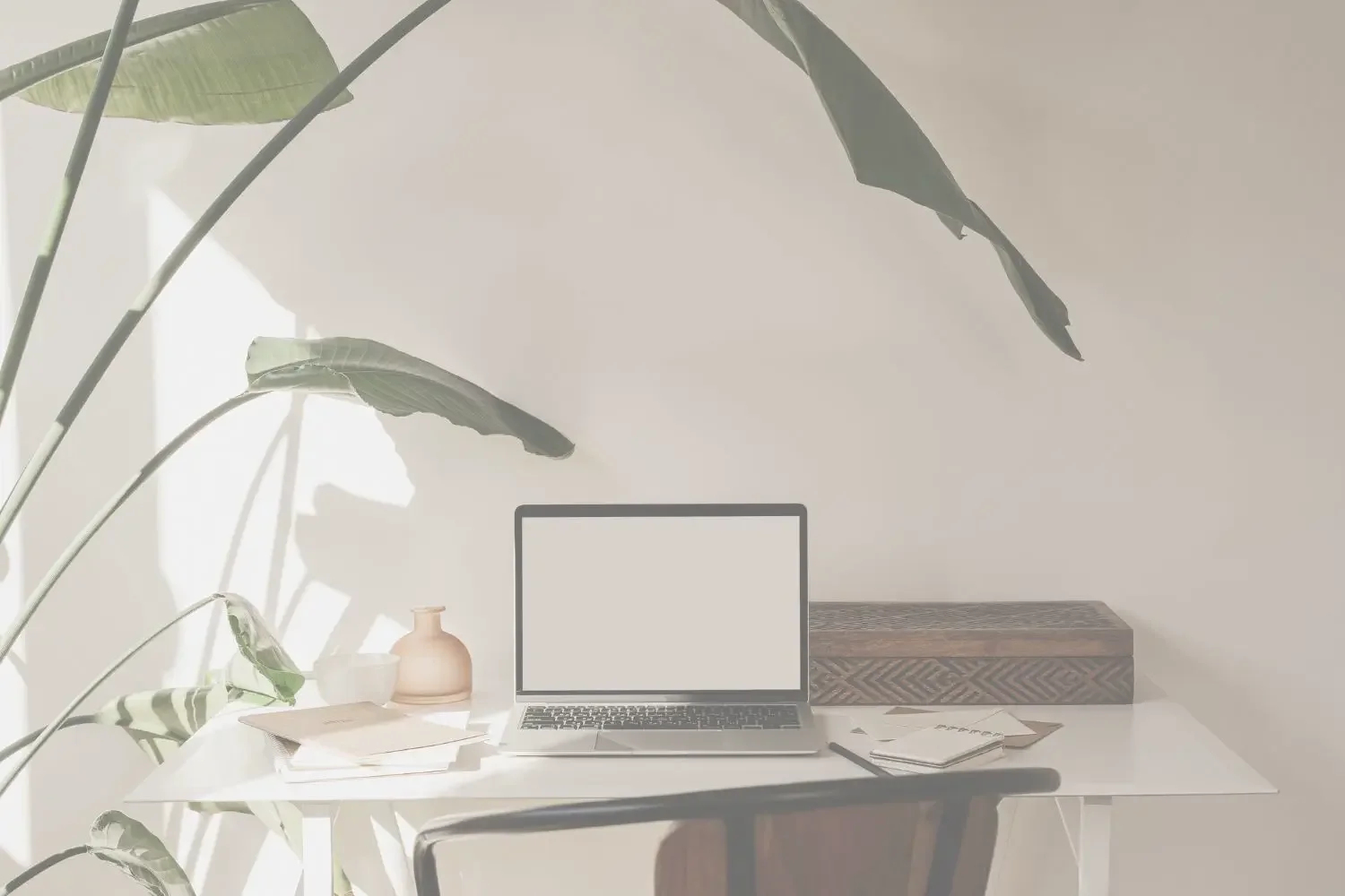 Laptop auf Tisch mit Pflanze daneben