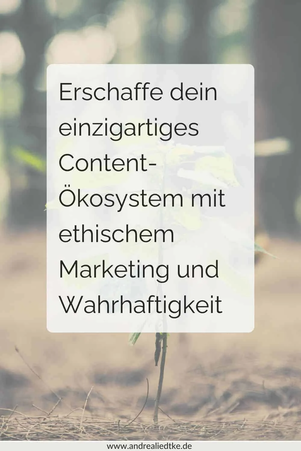 Erschaffe dein herzkreatives Ökosystem, das nachhaltig wächst (und dir als Social-Media-Exit-Strategie dient.)