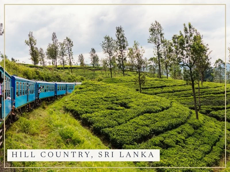 A blue train winding through tea plantations in Sri Lanka's hill country